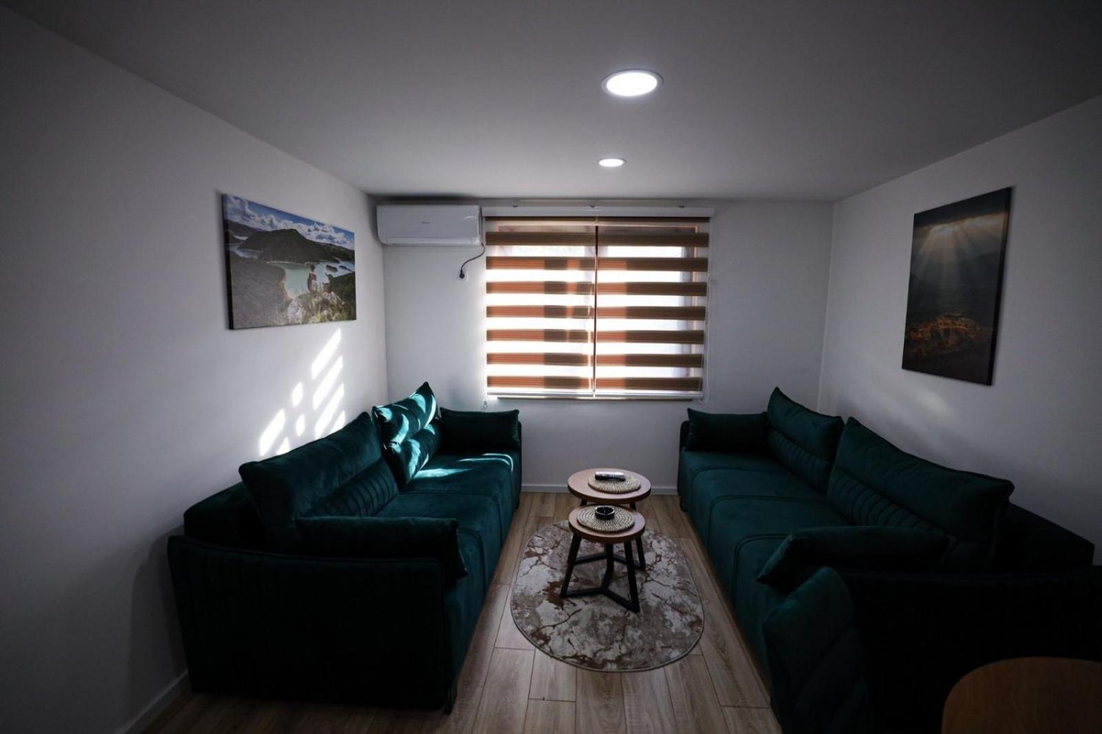 One-Bedroom Apartment photo 3