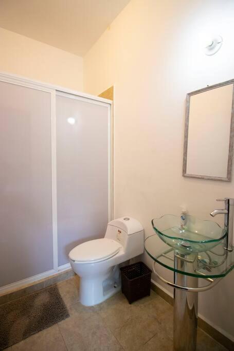 One-Bedroom House photo 2