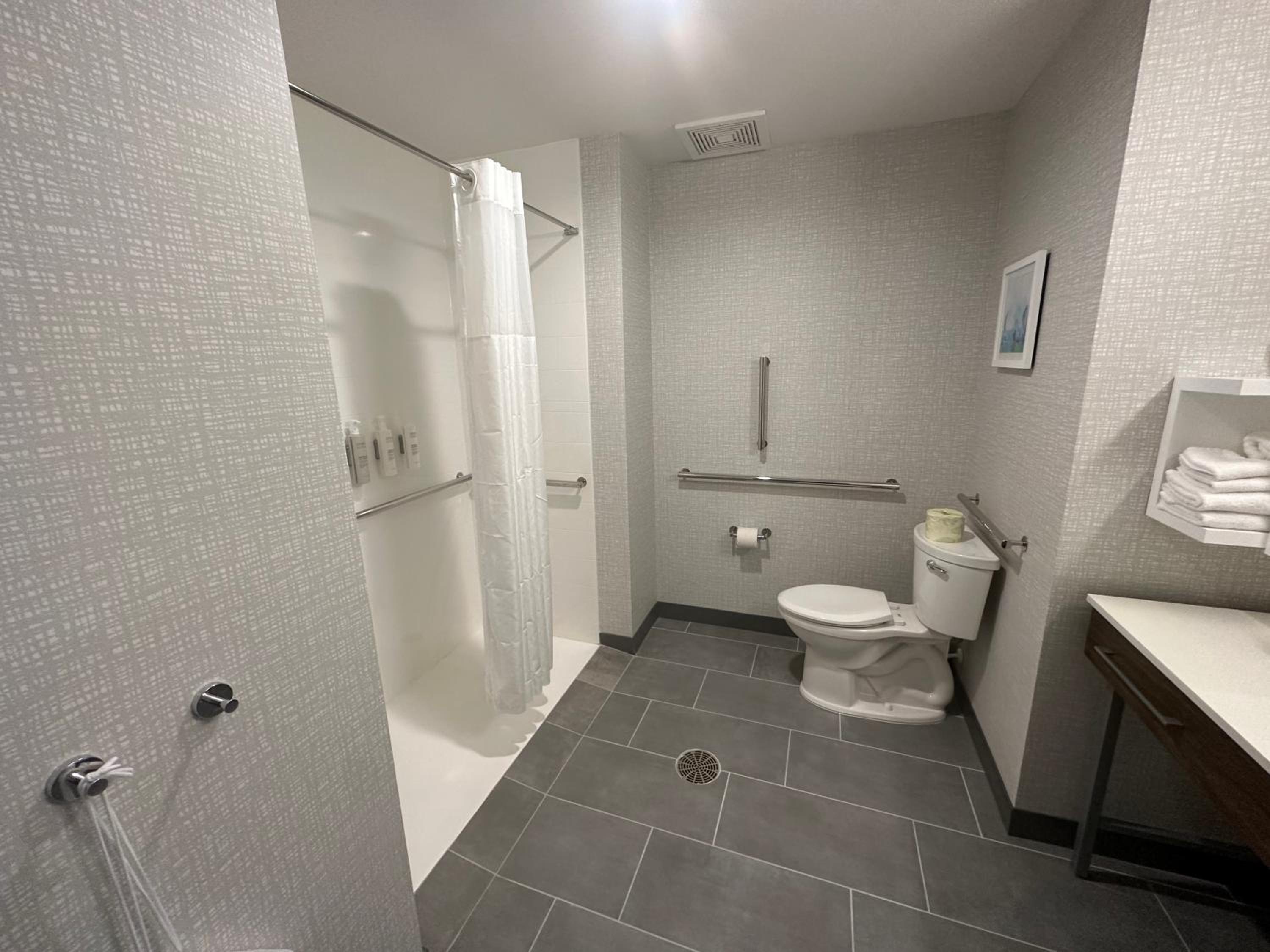 King Room with Roll-In Shower - Mobility and Hearing Access/Non-Smoking - Photo 2