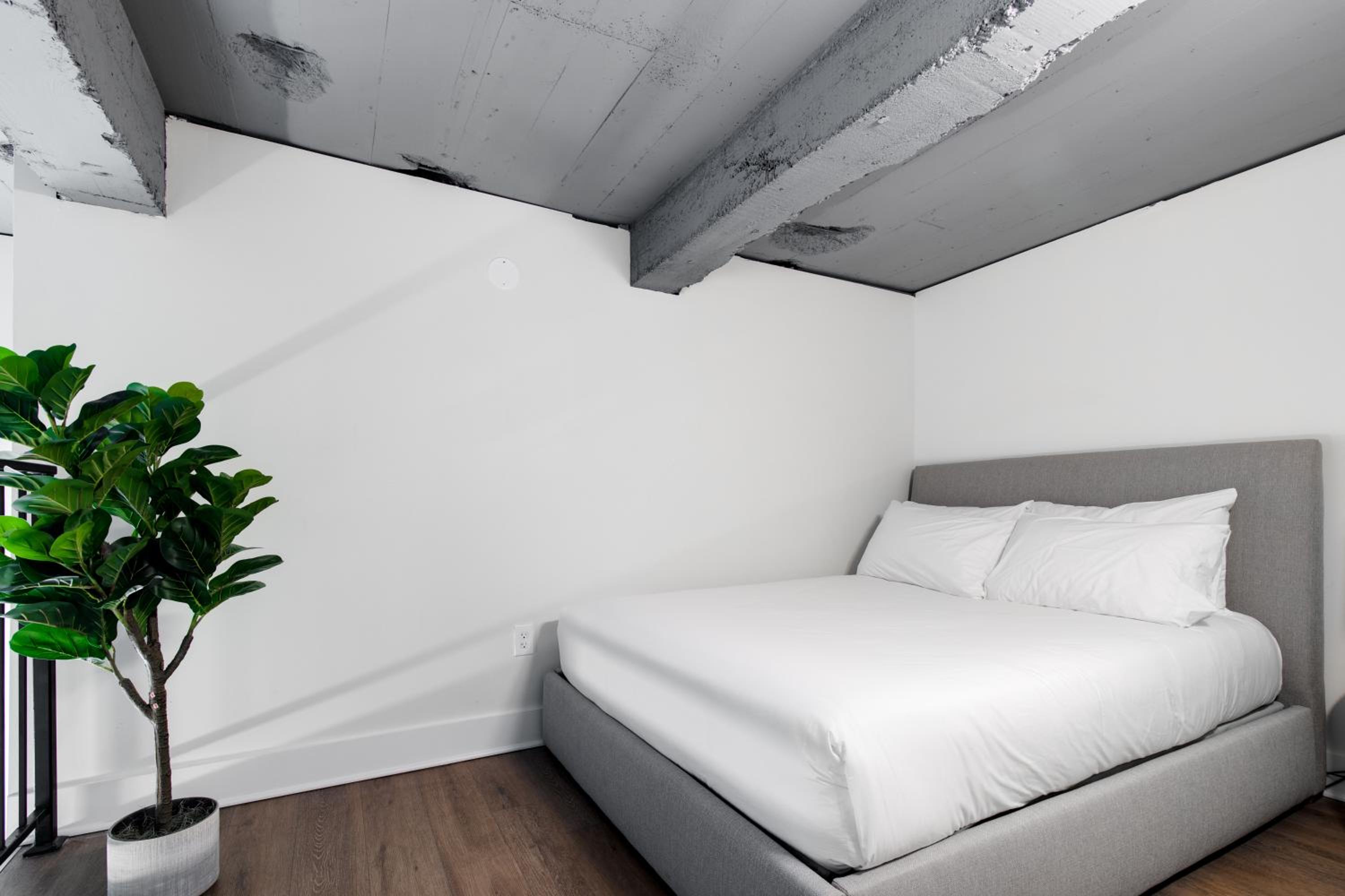 Two Bedroom Loft Apartment - Photo 6