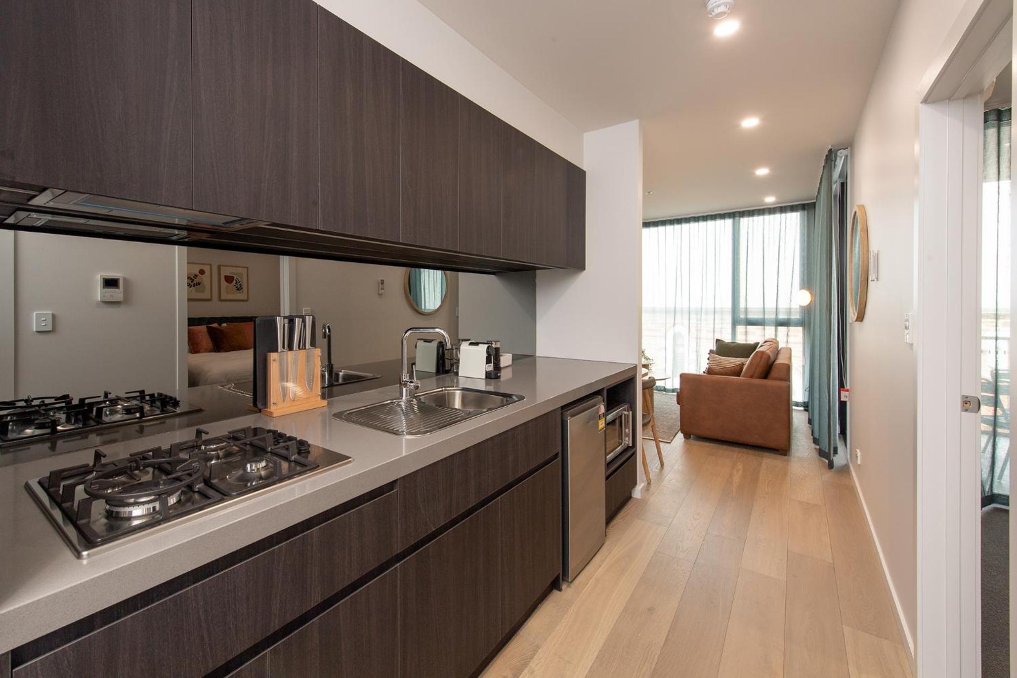 Deluxe 1 Bedroom Apartment