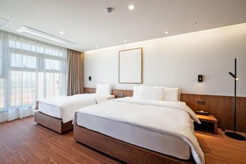Suite - Photo 1