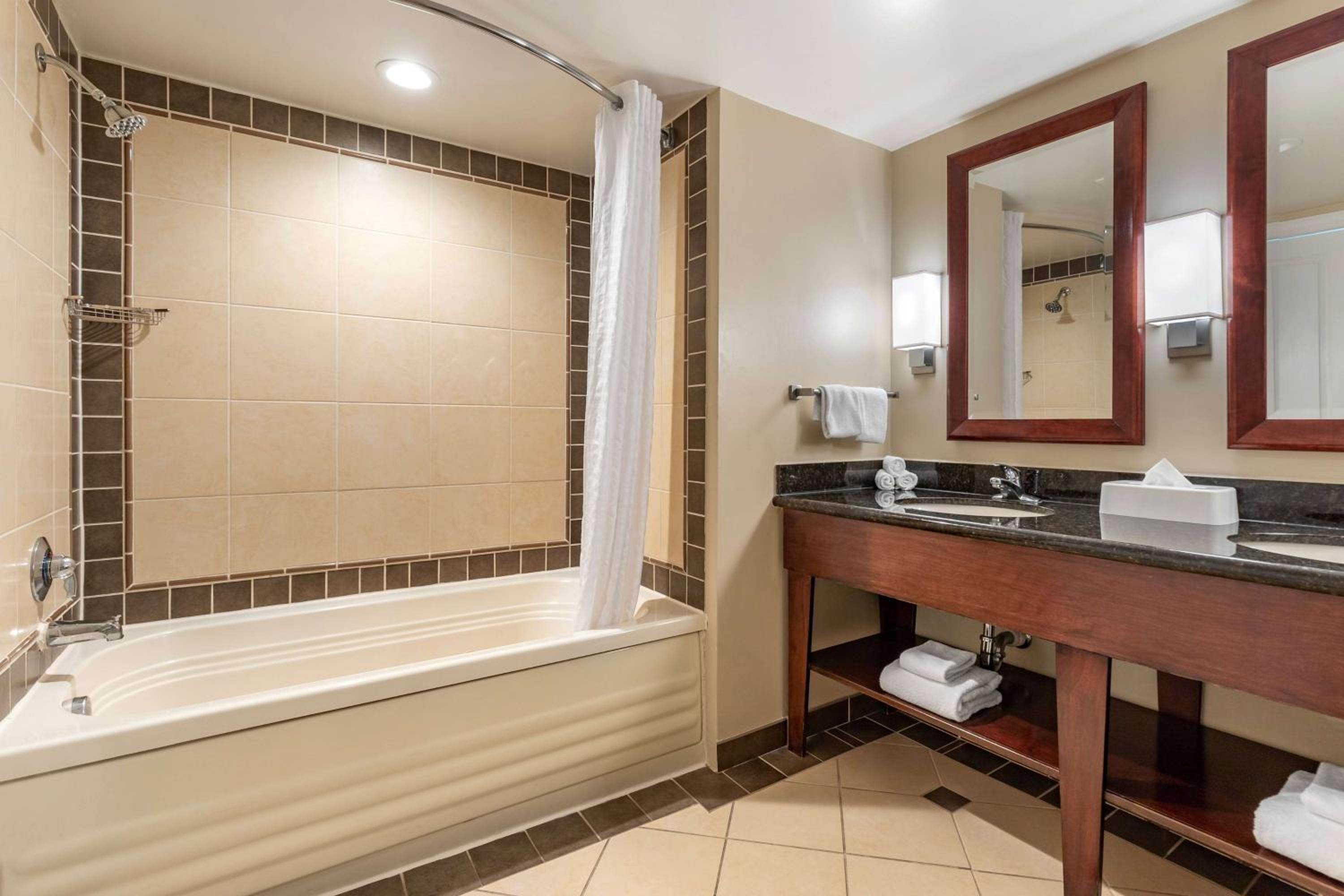 One-Bedroom Suite with City View - Hearing Accessible - Photo 5