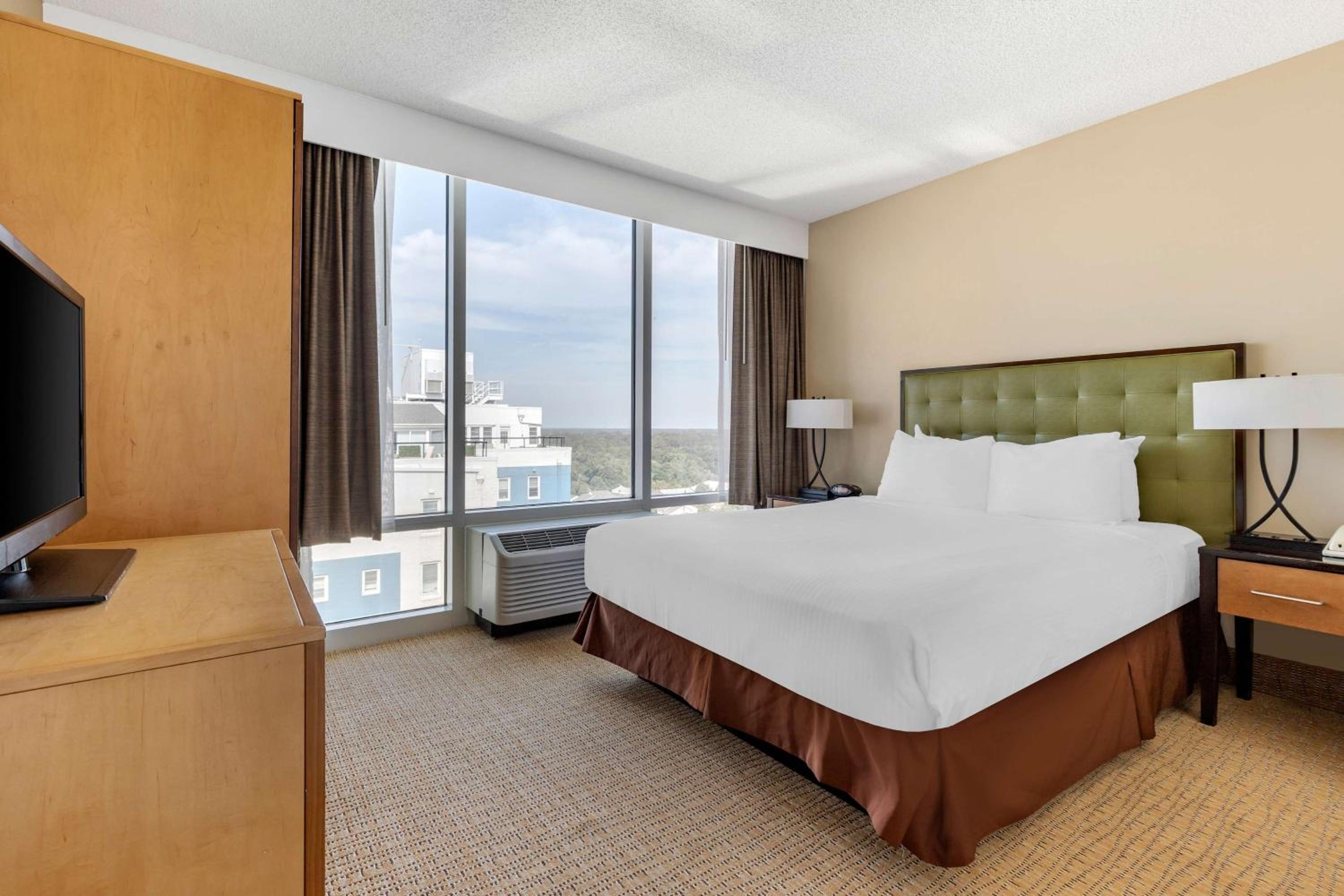 One-Bedroom Queen Suite with Kitchen and City View - Photo 5