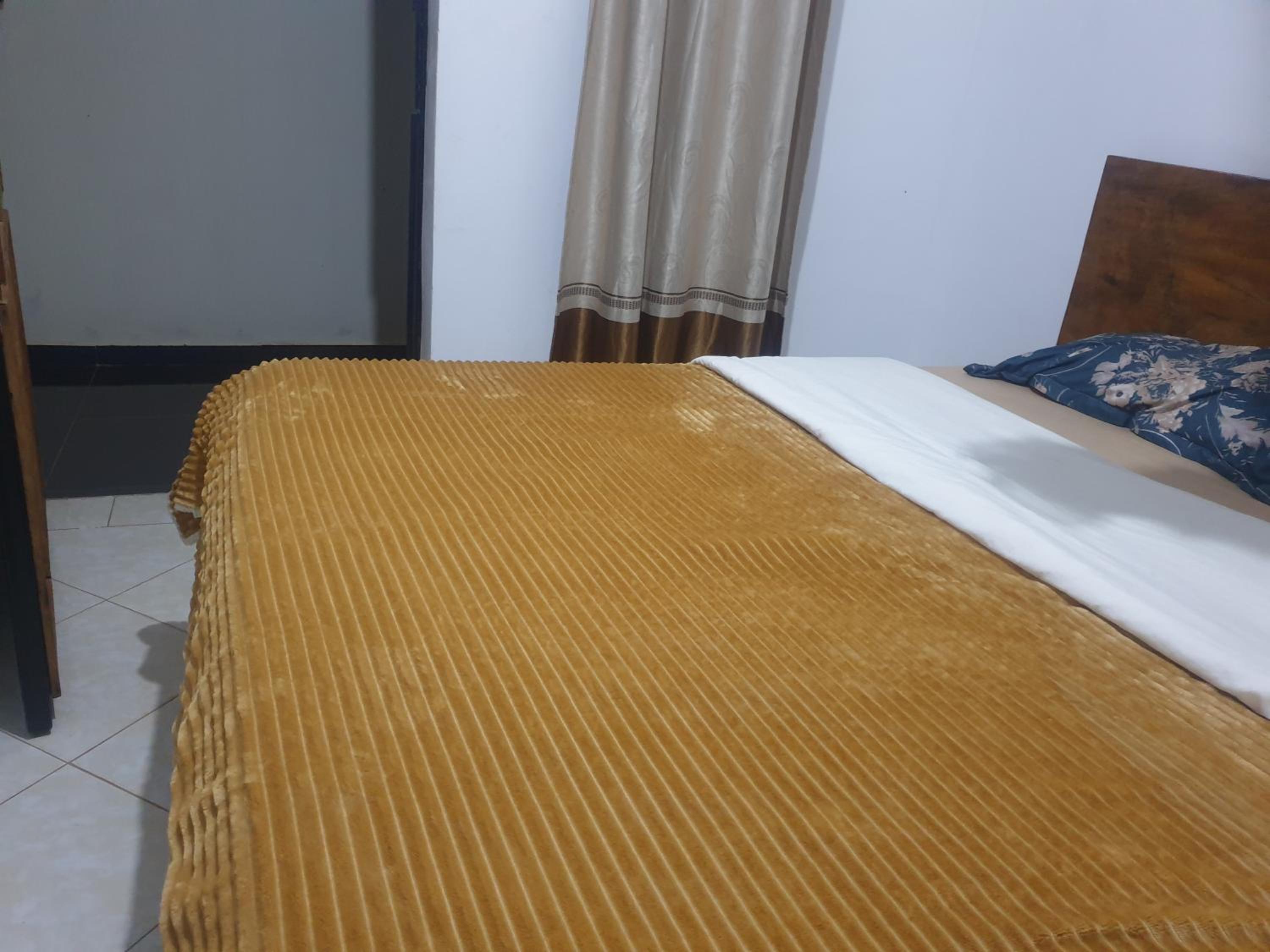 Suite - Photo 1