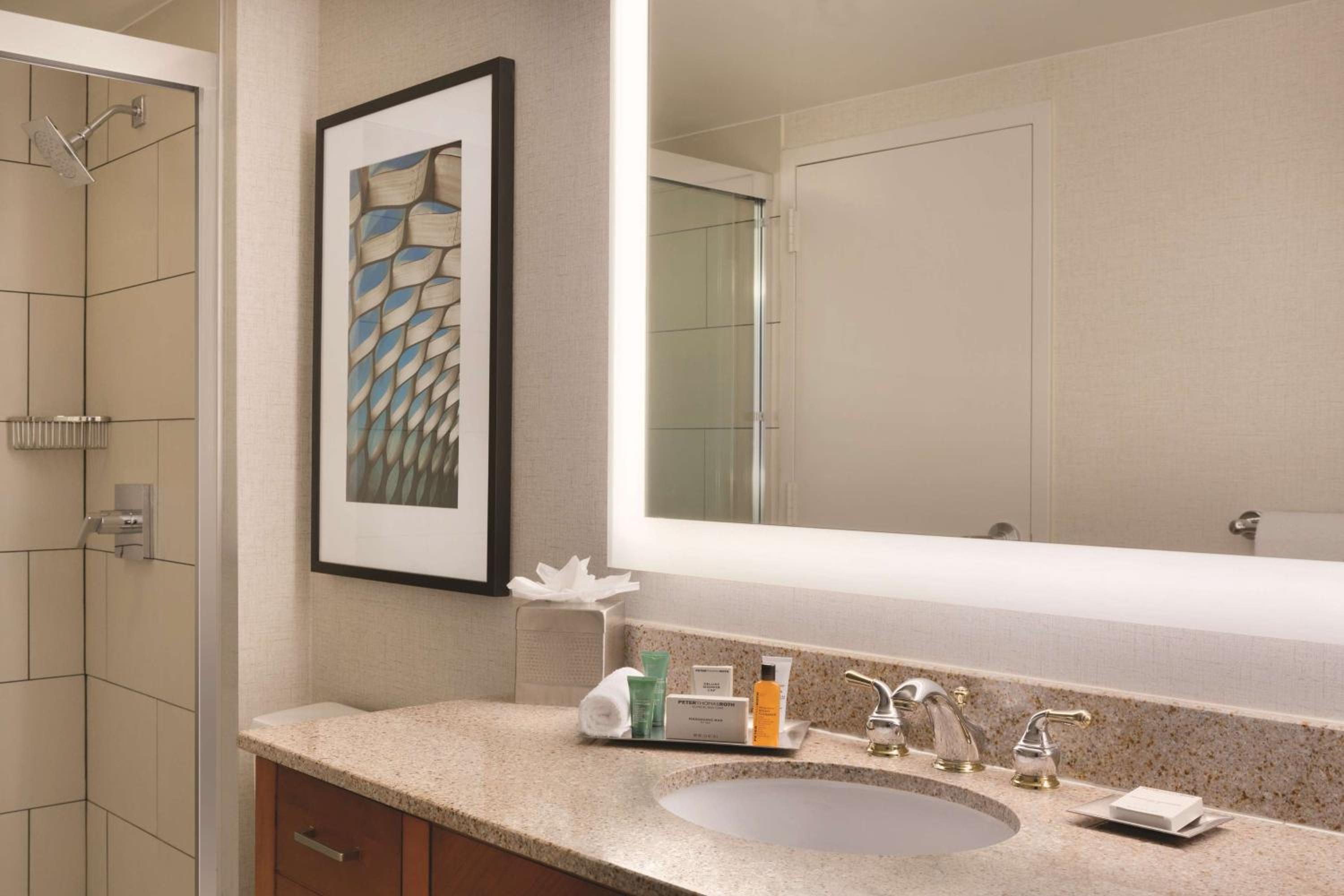 One-Bedroom King Suite - Photo 2