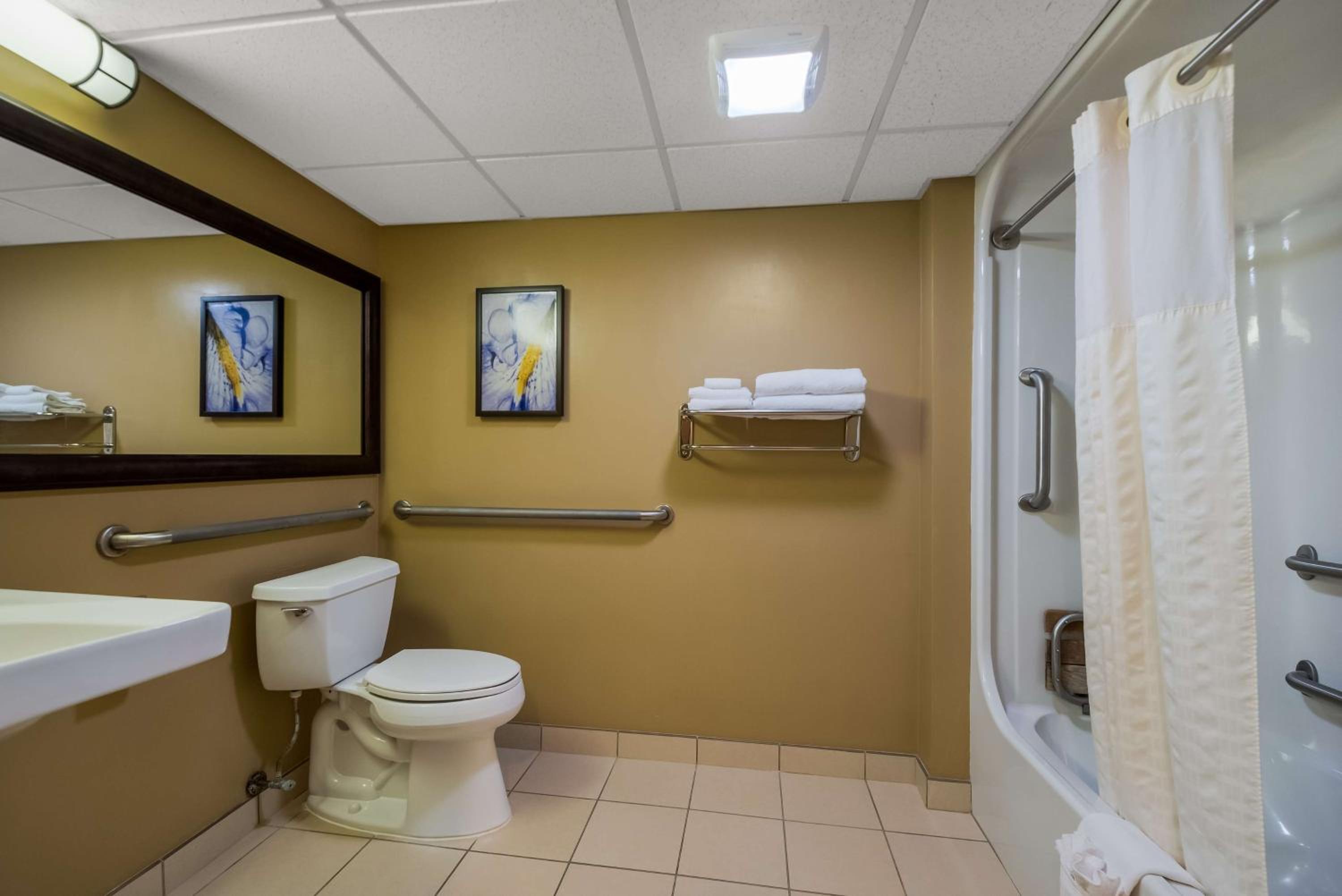 Queen Room with Roll-In Shower - Mobility Accessible/Non-Smoking - Photo 4