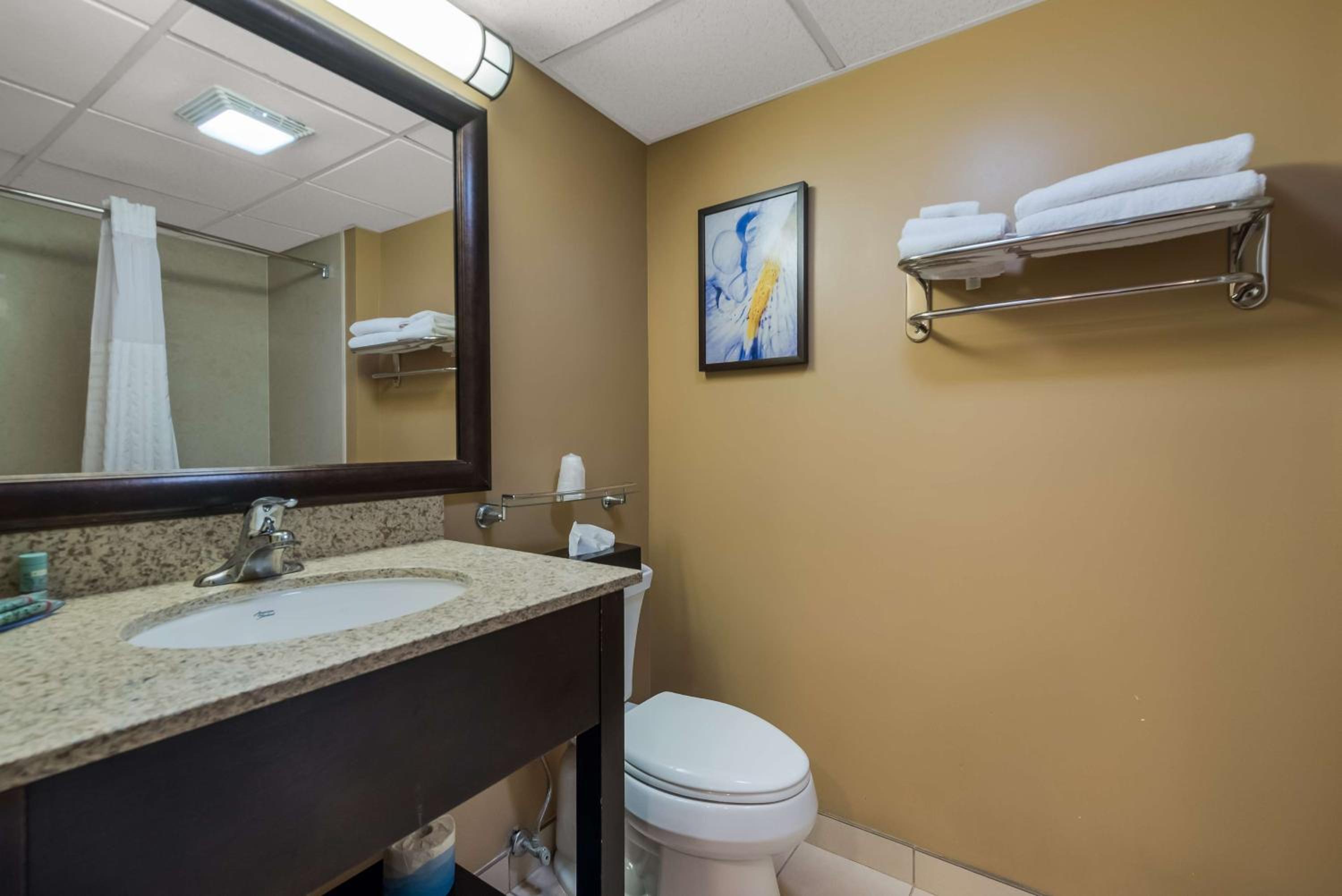King Room - Non-Smoking - Photo 4