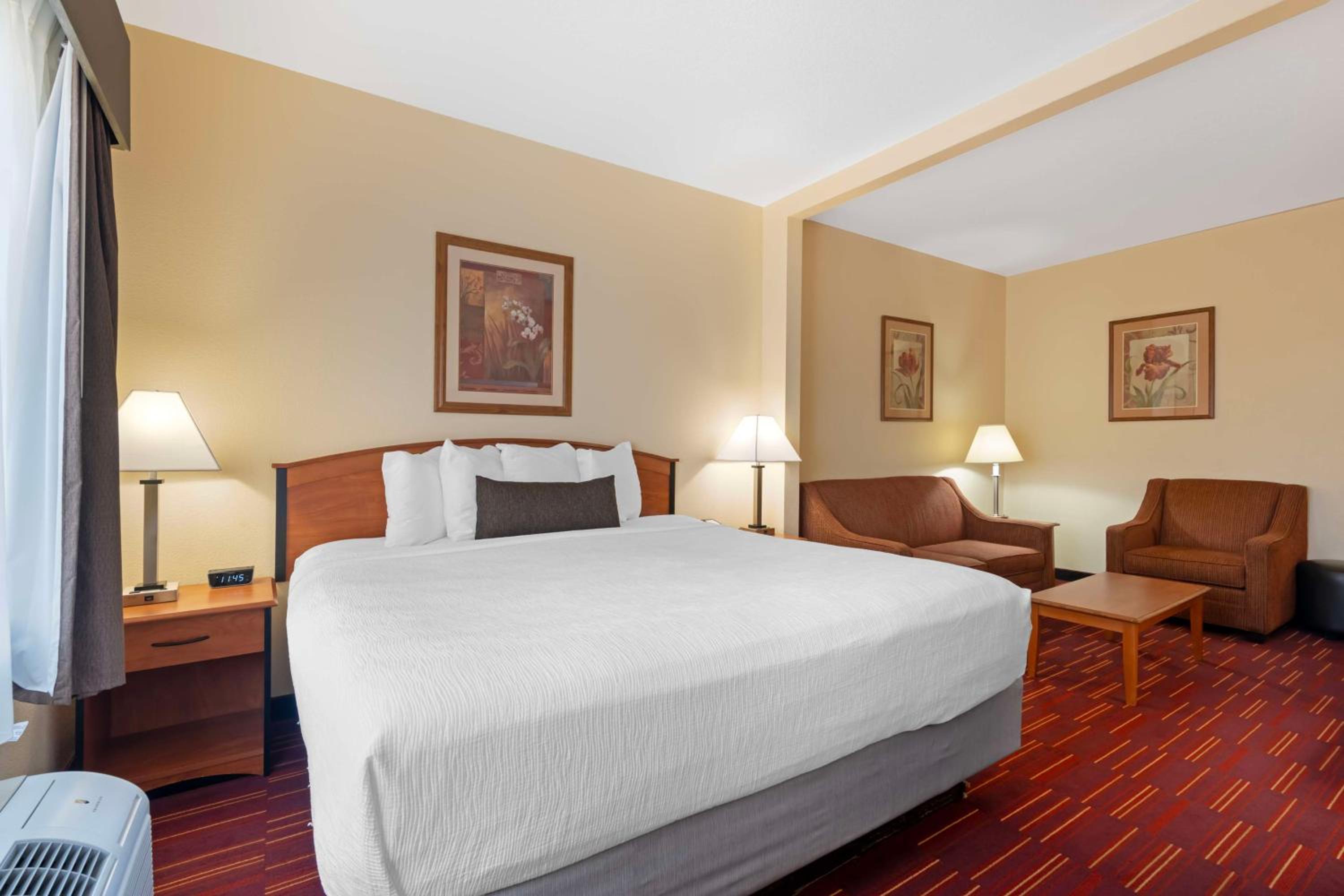 King Suite with Sofa Bed - Non-Smoking - Photo 2