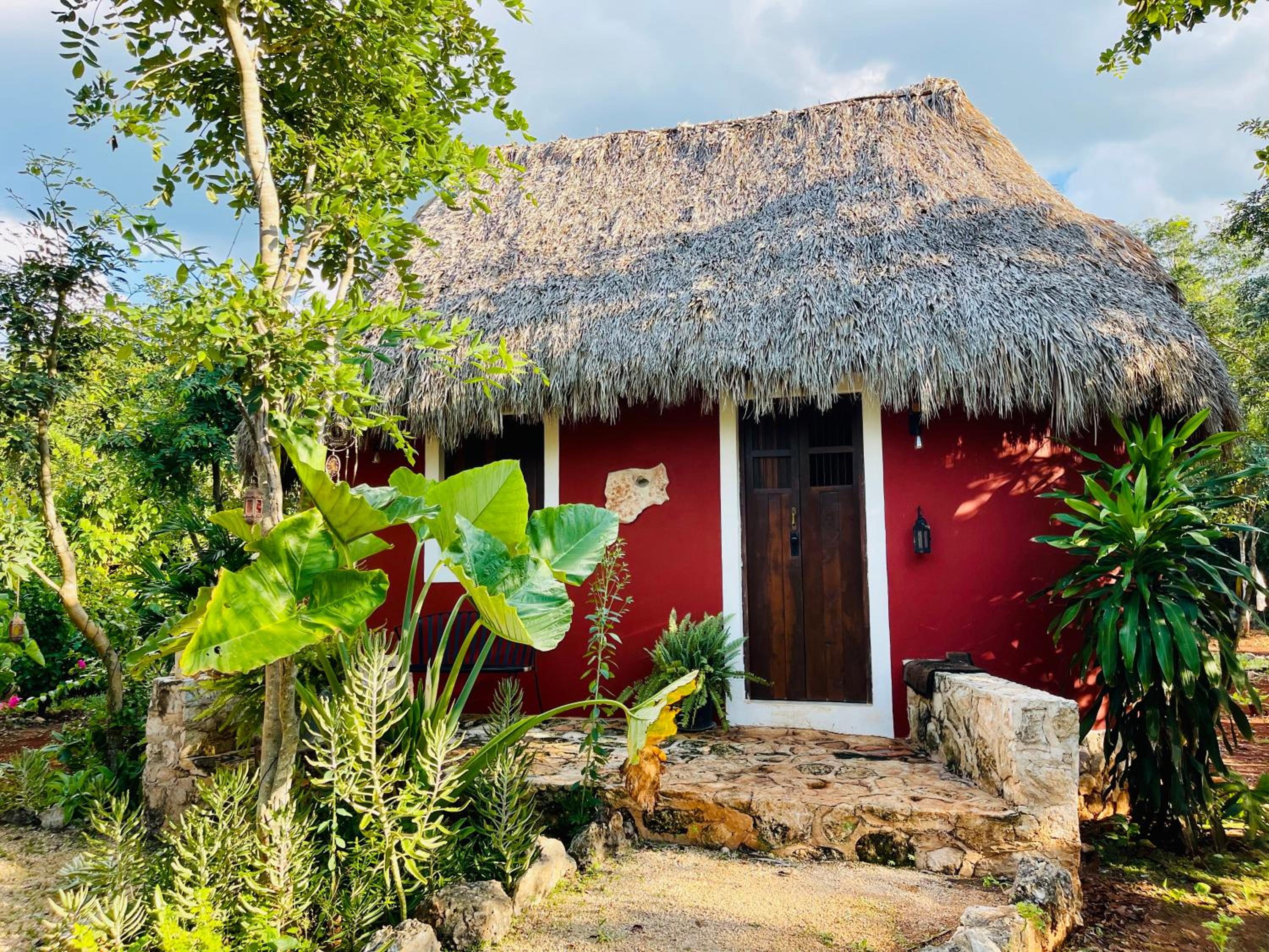 Deluxe Bungalow with Garden View photo 3