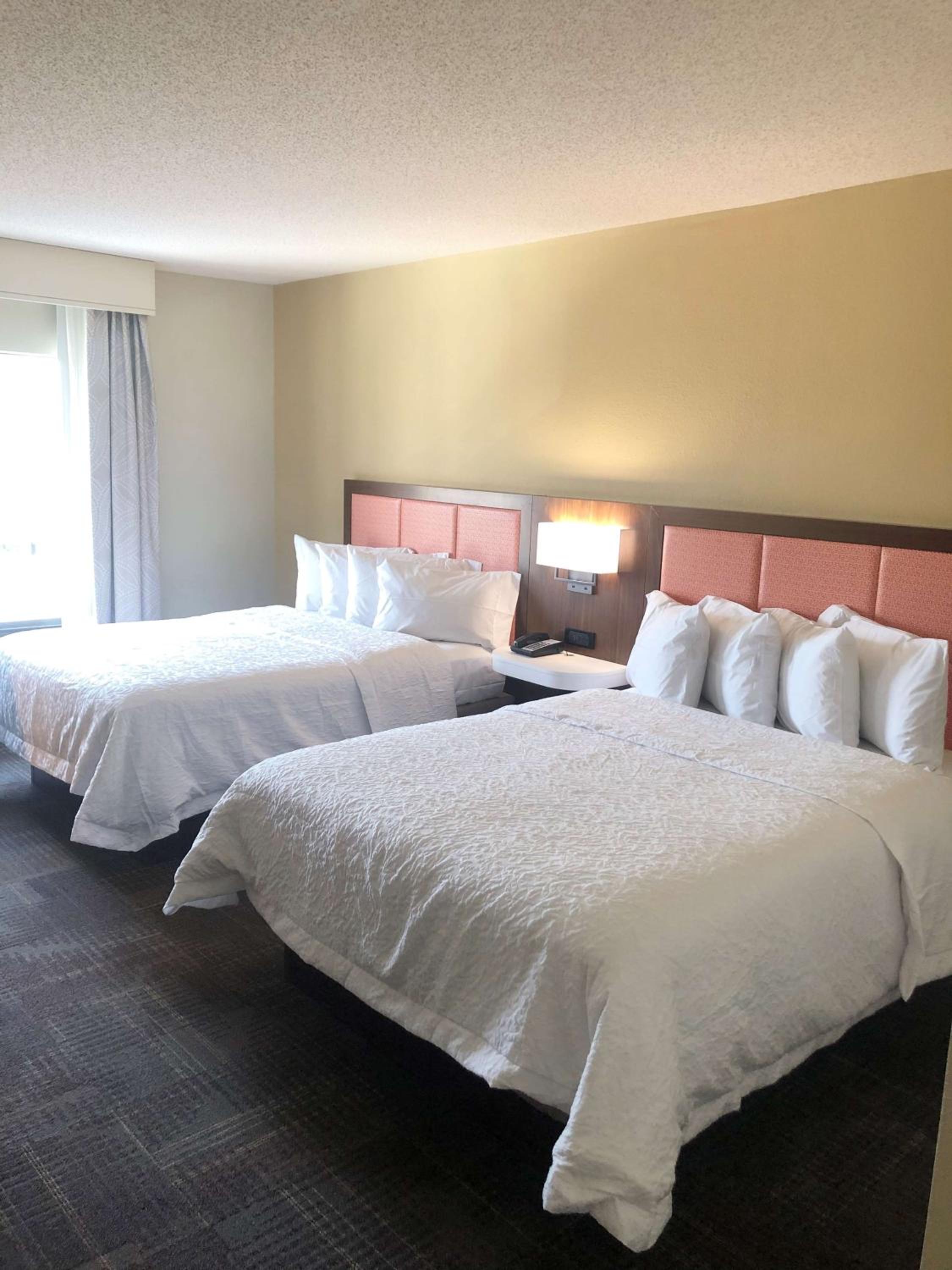 2 Queen beds studio accessible with tub non-smoking - Photo 2