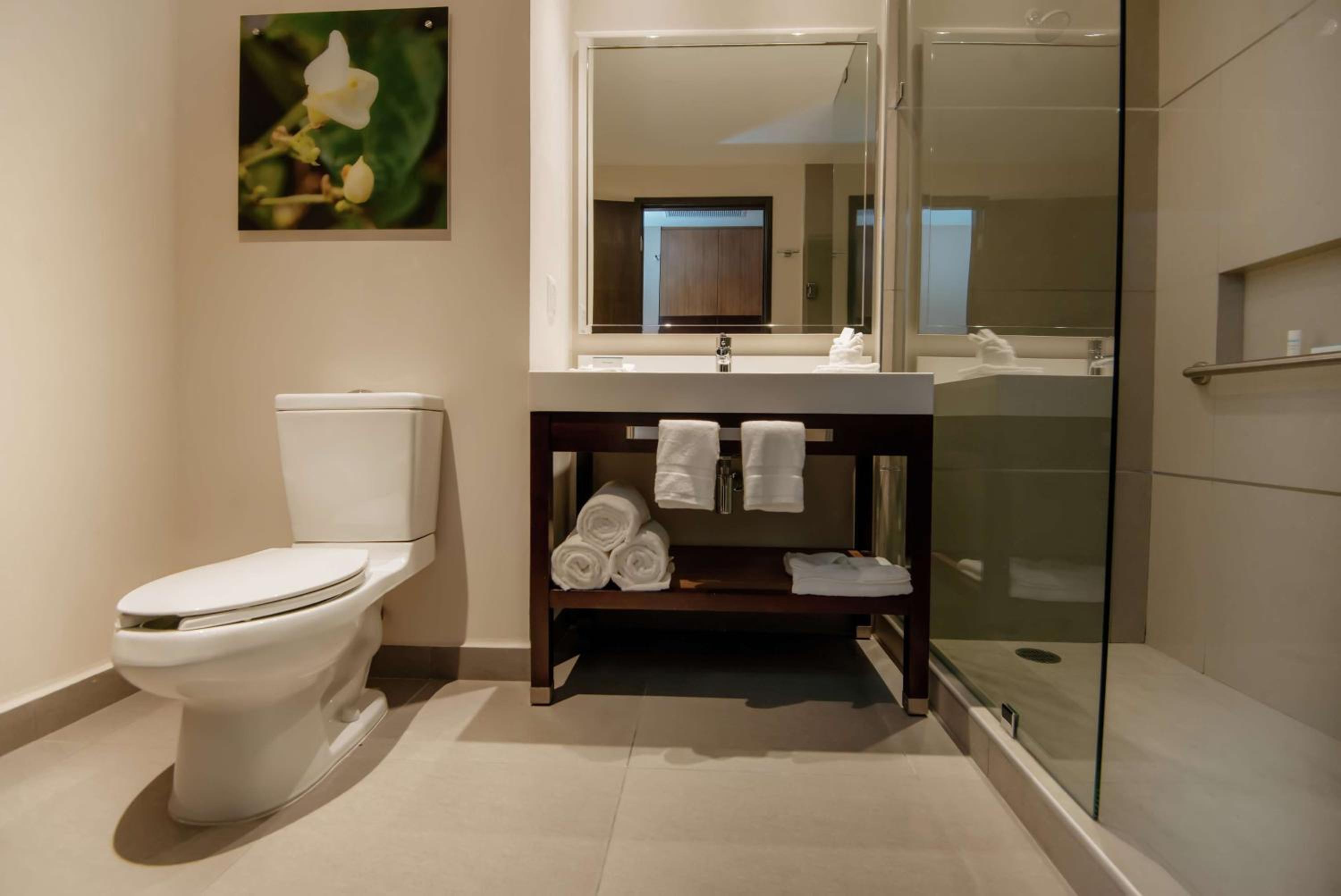 King Room photo 3