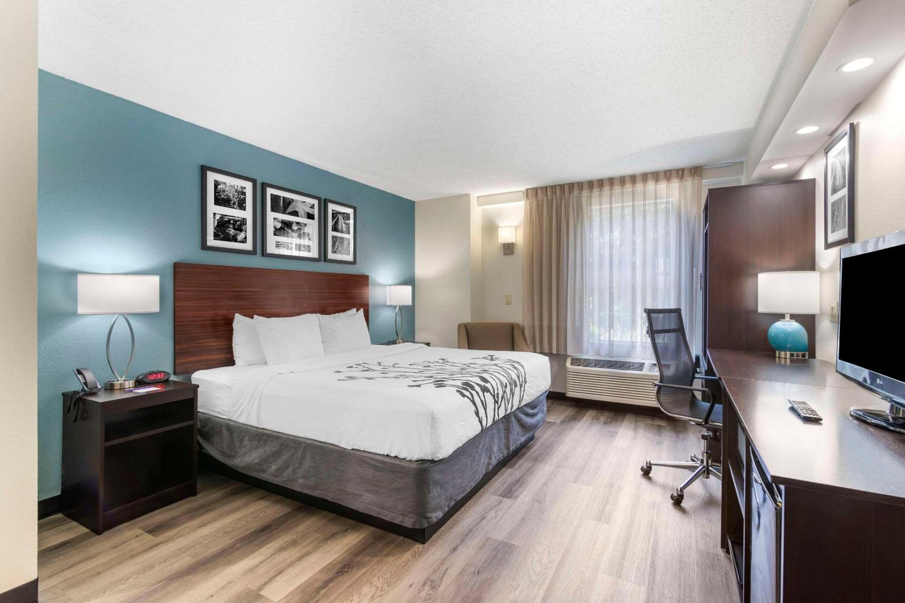 King Room - Accessible/Non Smoking - Photo 2