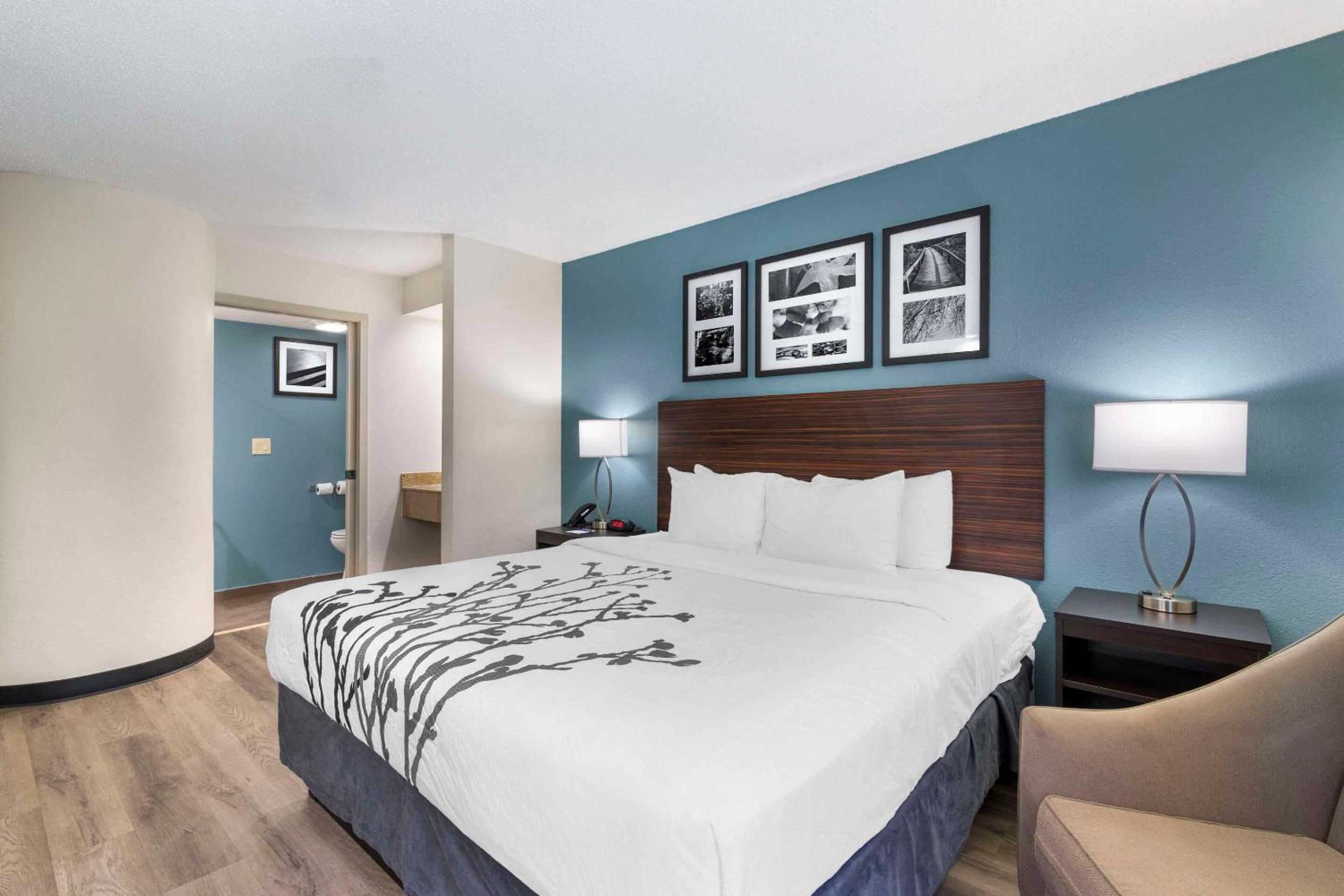 Queen Room - Accessible/Non Smoking - Photo 4