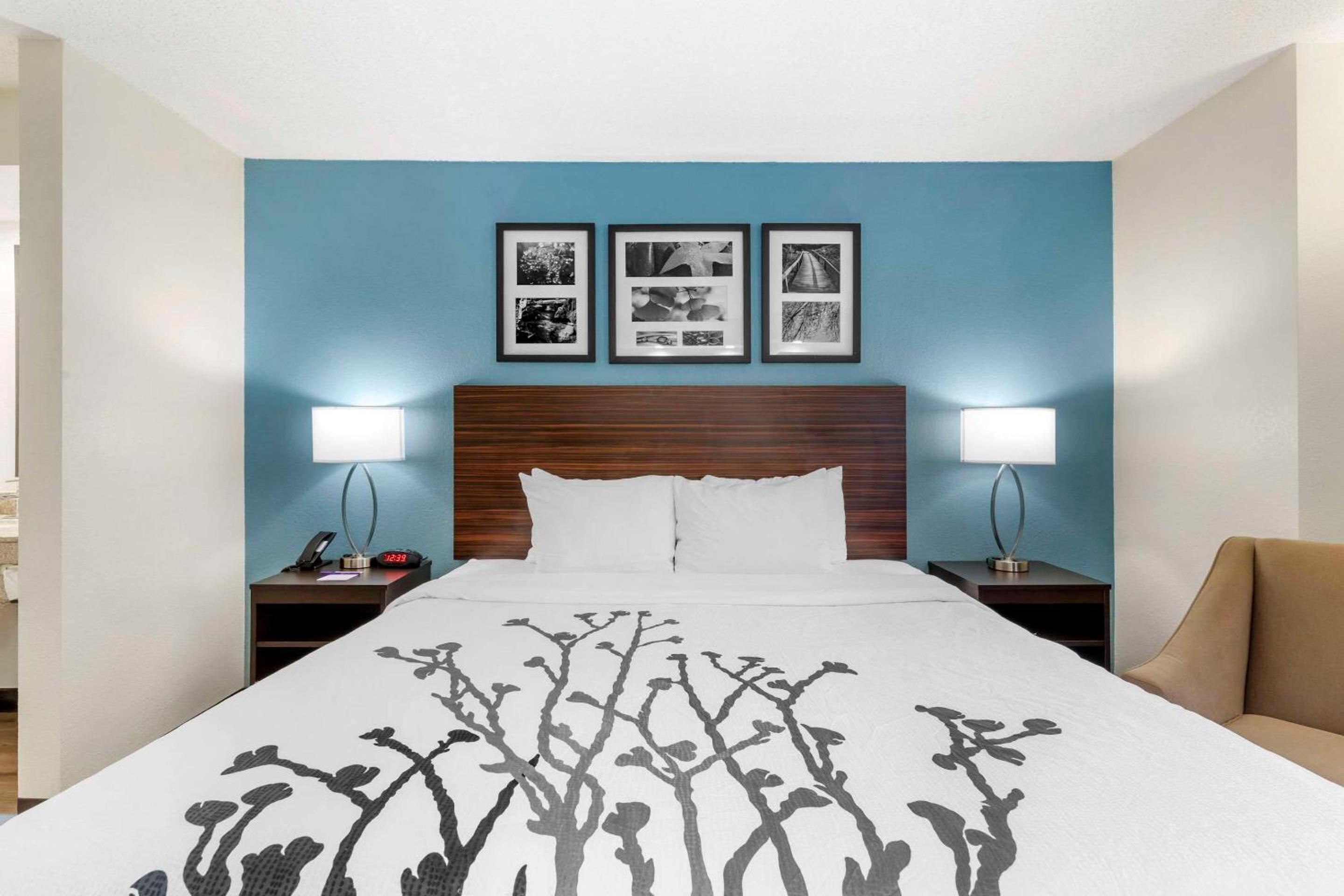 King Room - Accessible/Non Smoking - Photo 4