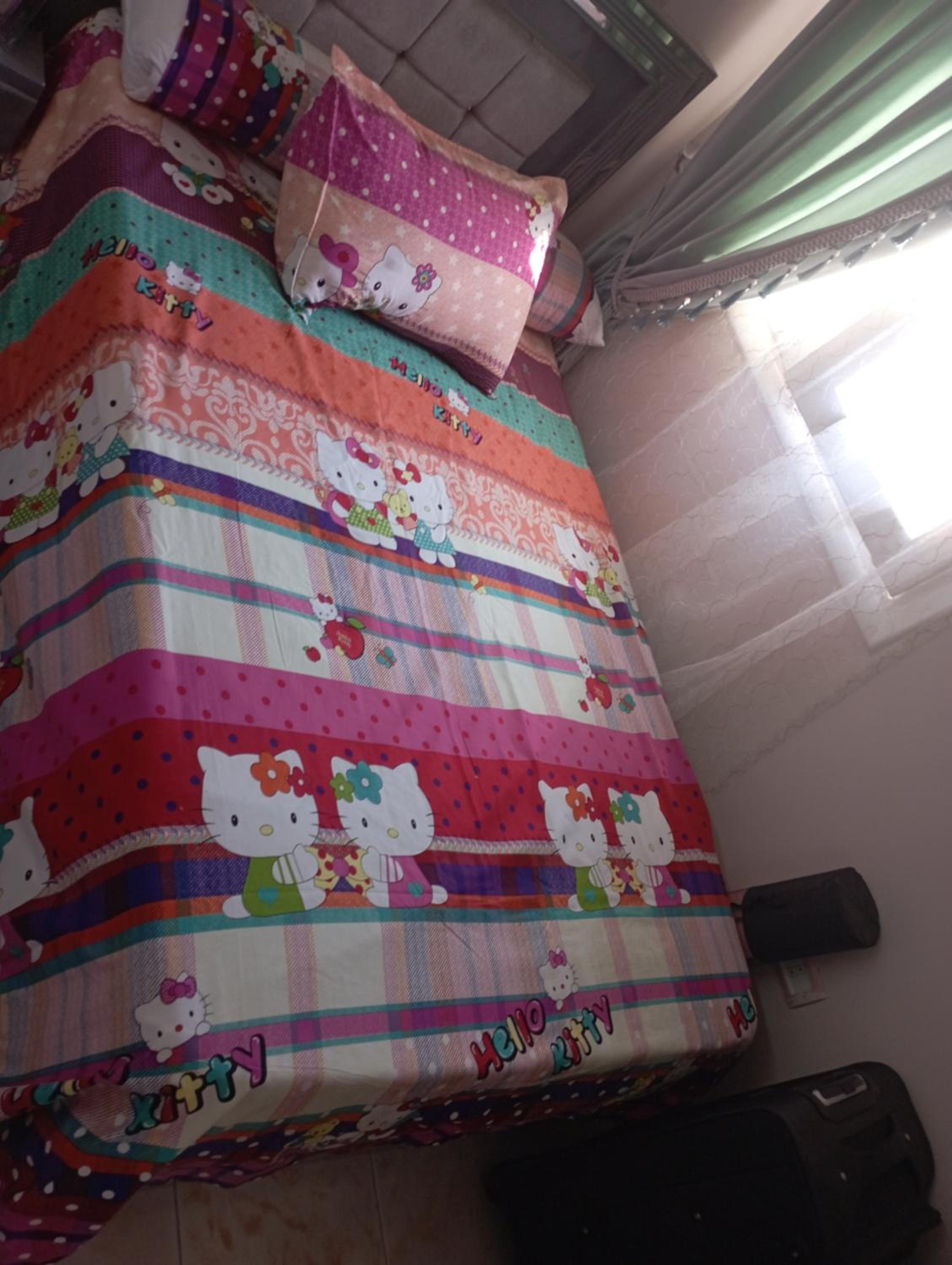 Deluxe Double or Twin Room with City View photo 1