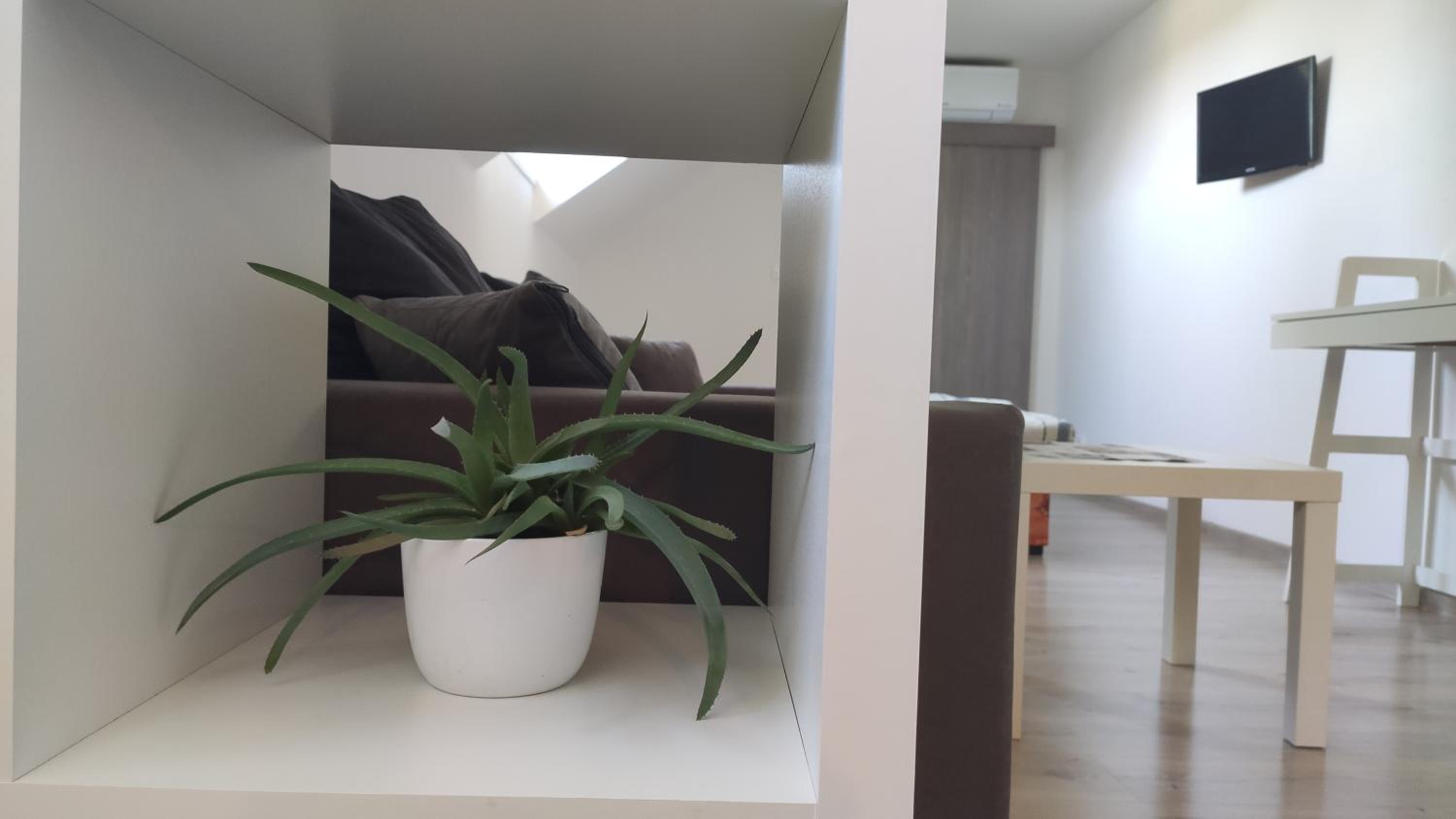 Deluxe Studio - Photo 12