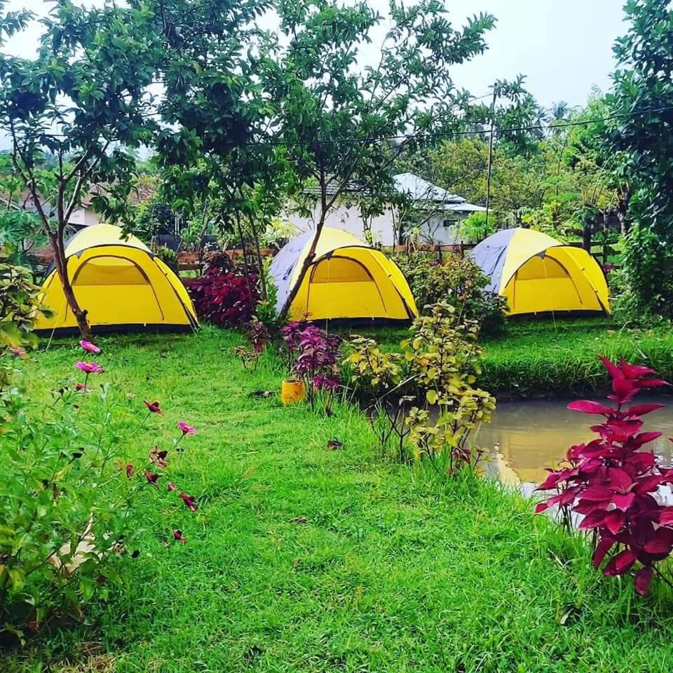 Tent photo 1