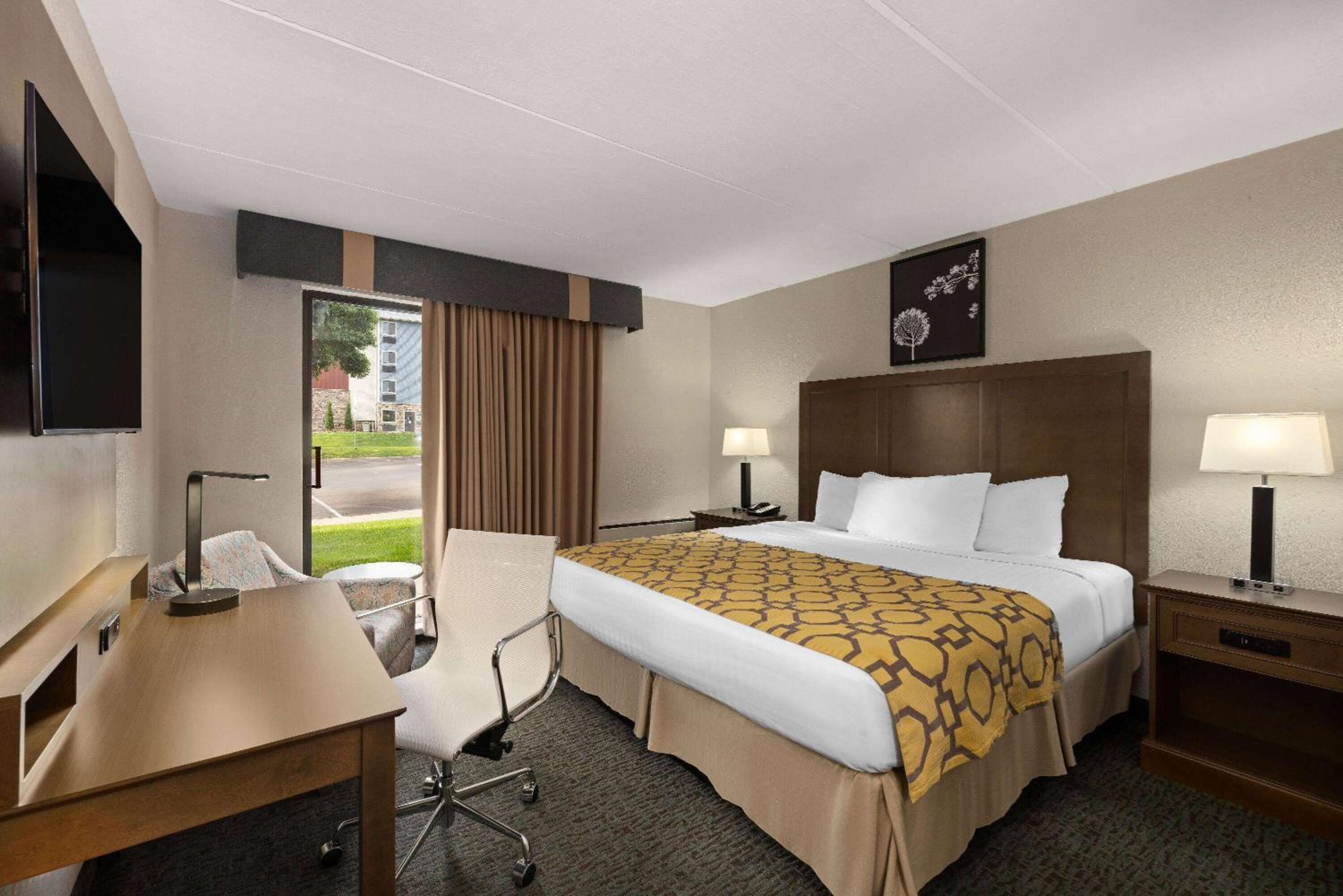 1 King Bed, Luxury Suite, Non-Smoking photo 1