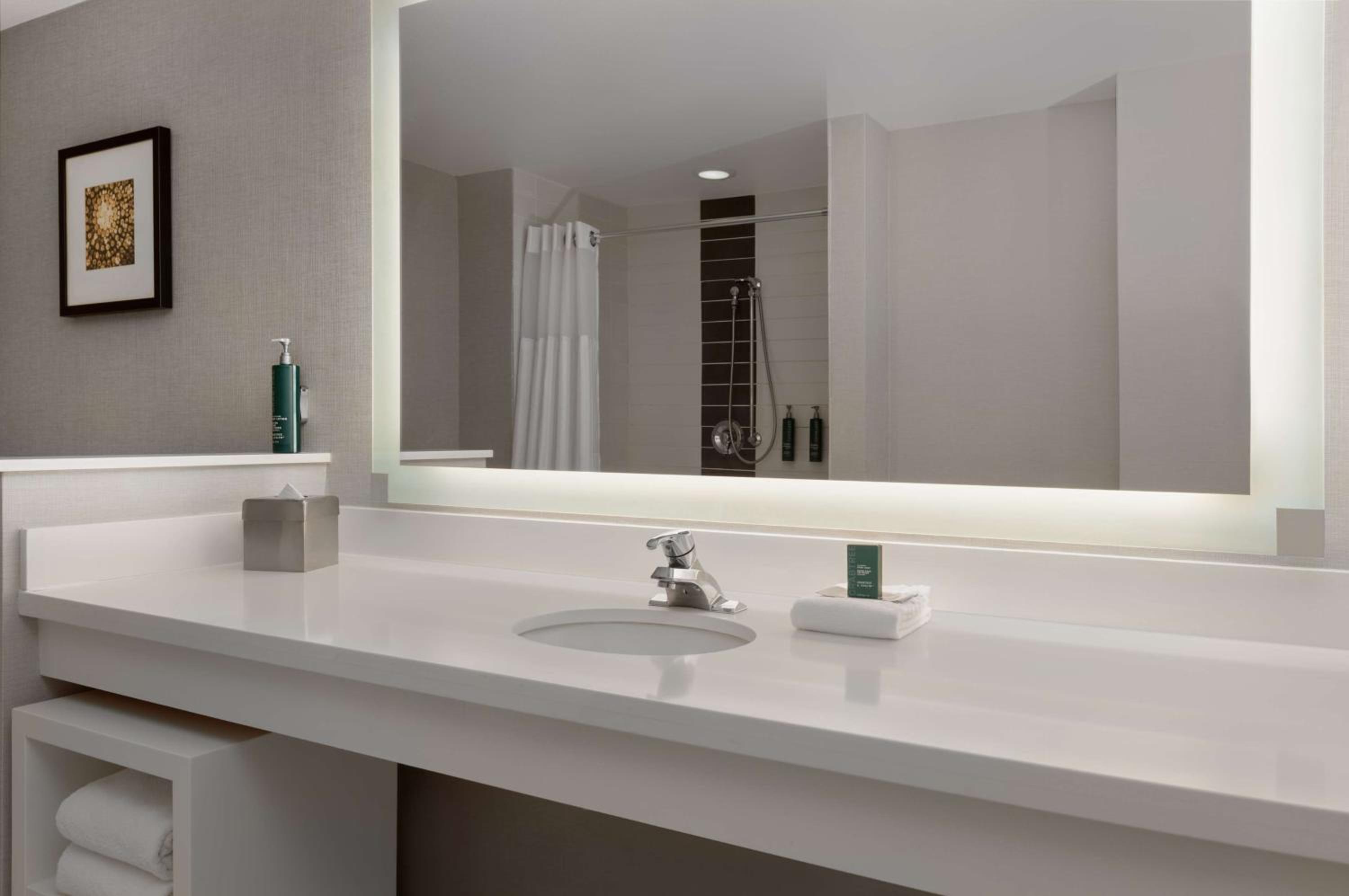 King Room with Roll-In Shower - Mobility/Hearing Accessible - Photo 4