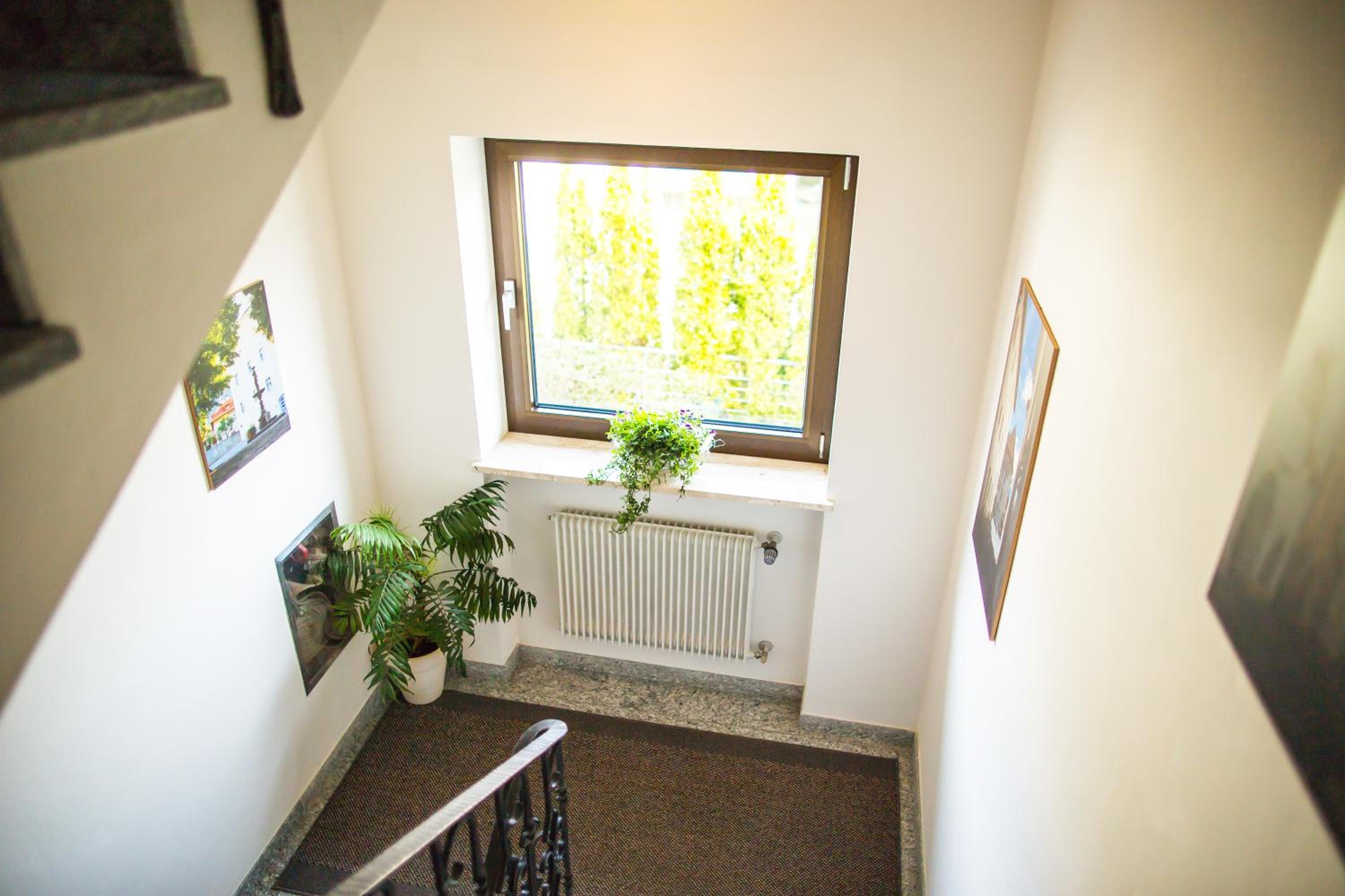 Single Room with Mountain View photo 2