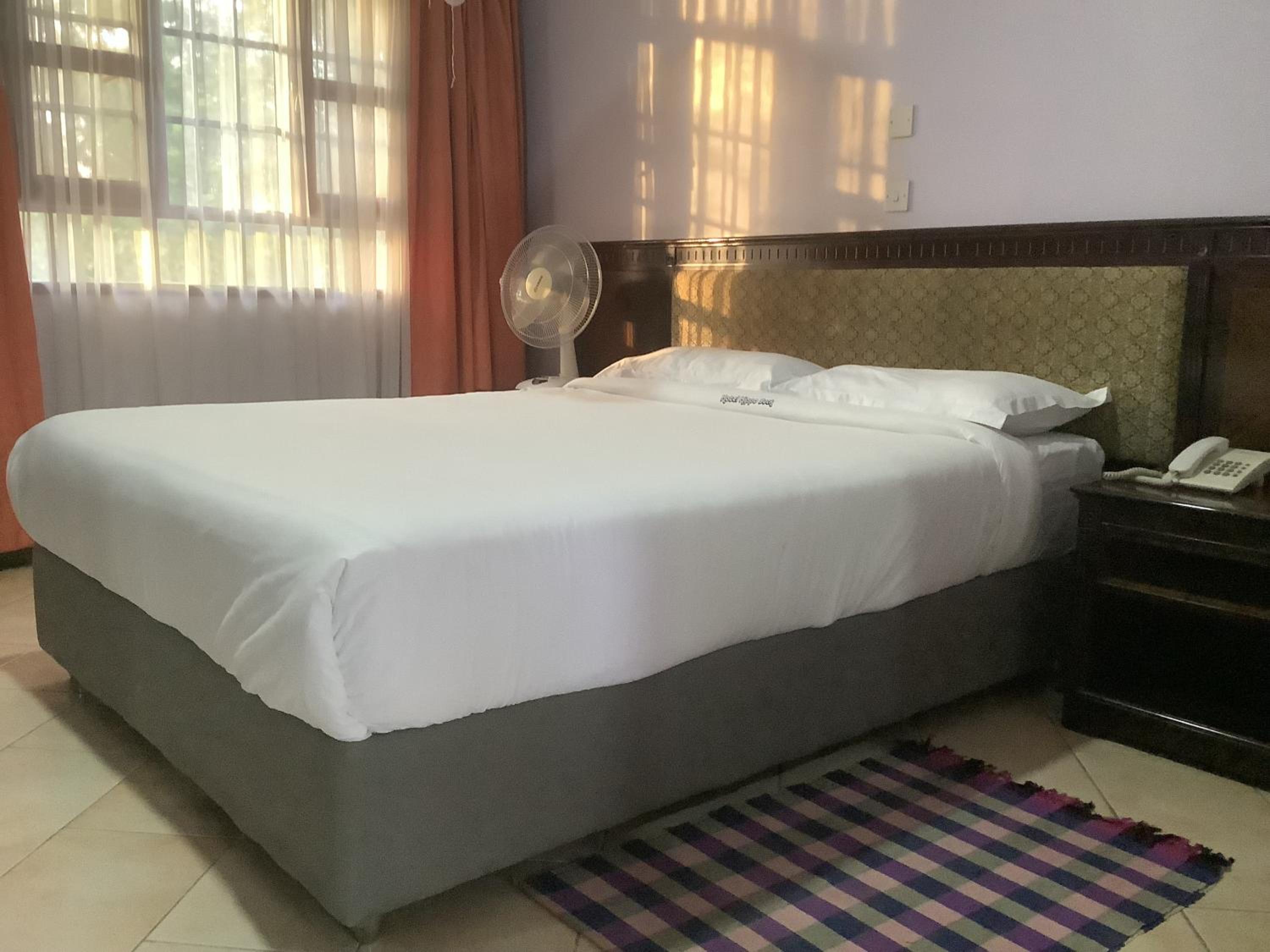 Superior Single Room photo 1