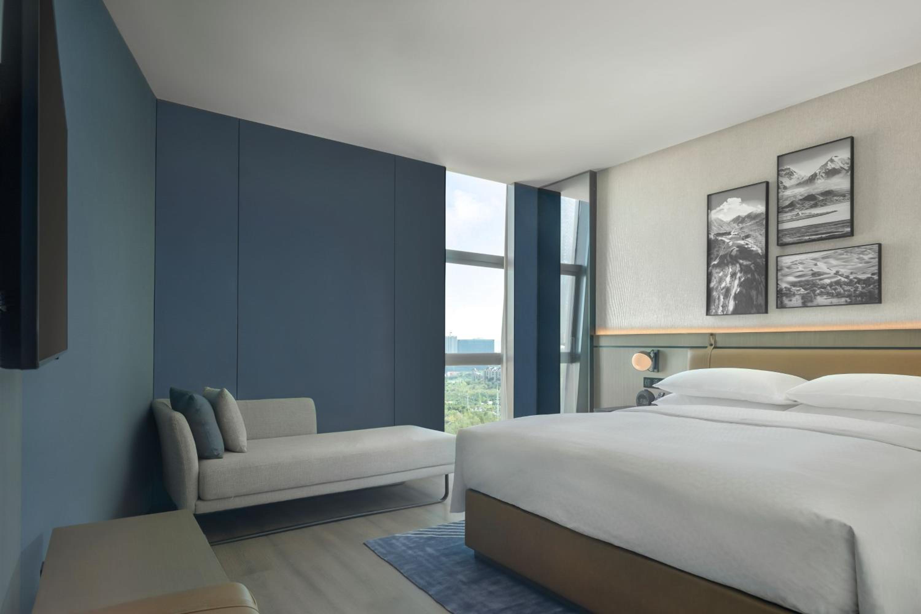 Deluxe King Suite with City View photo 3