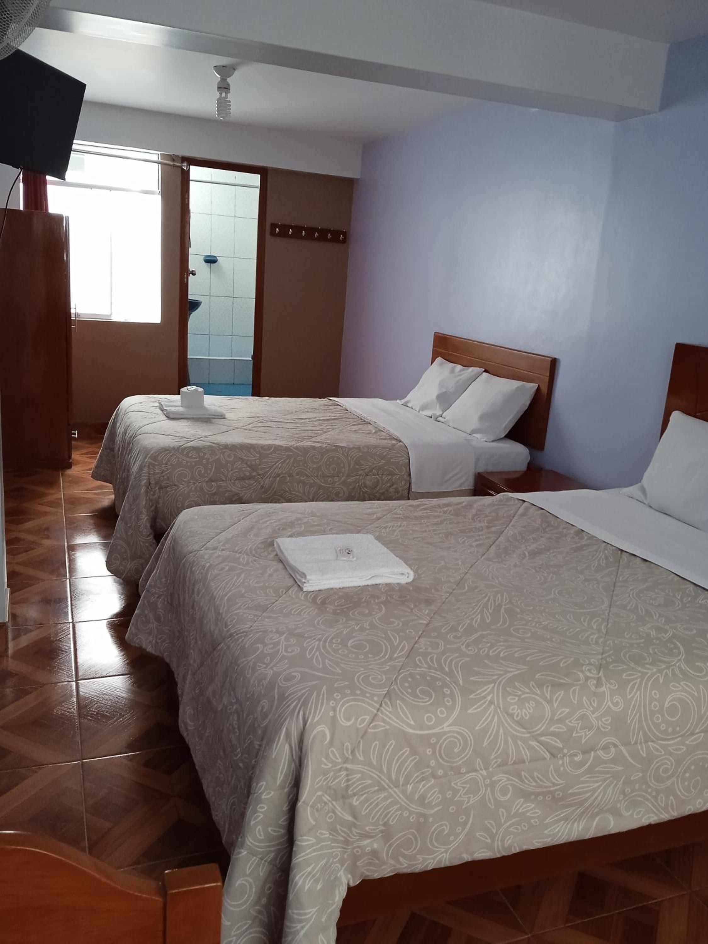 Large Twin Room photo 1