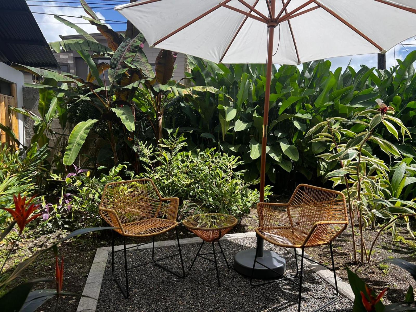 Superior Villa photo 3