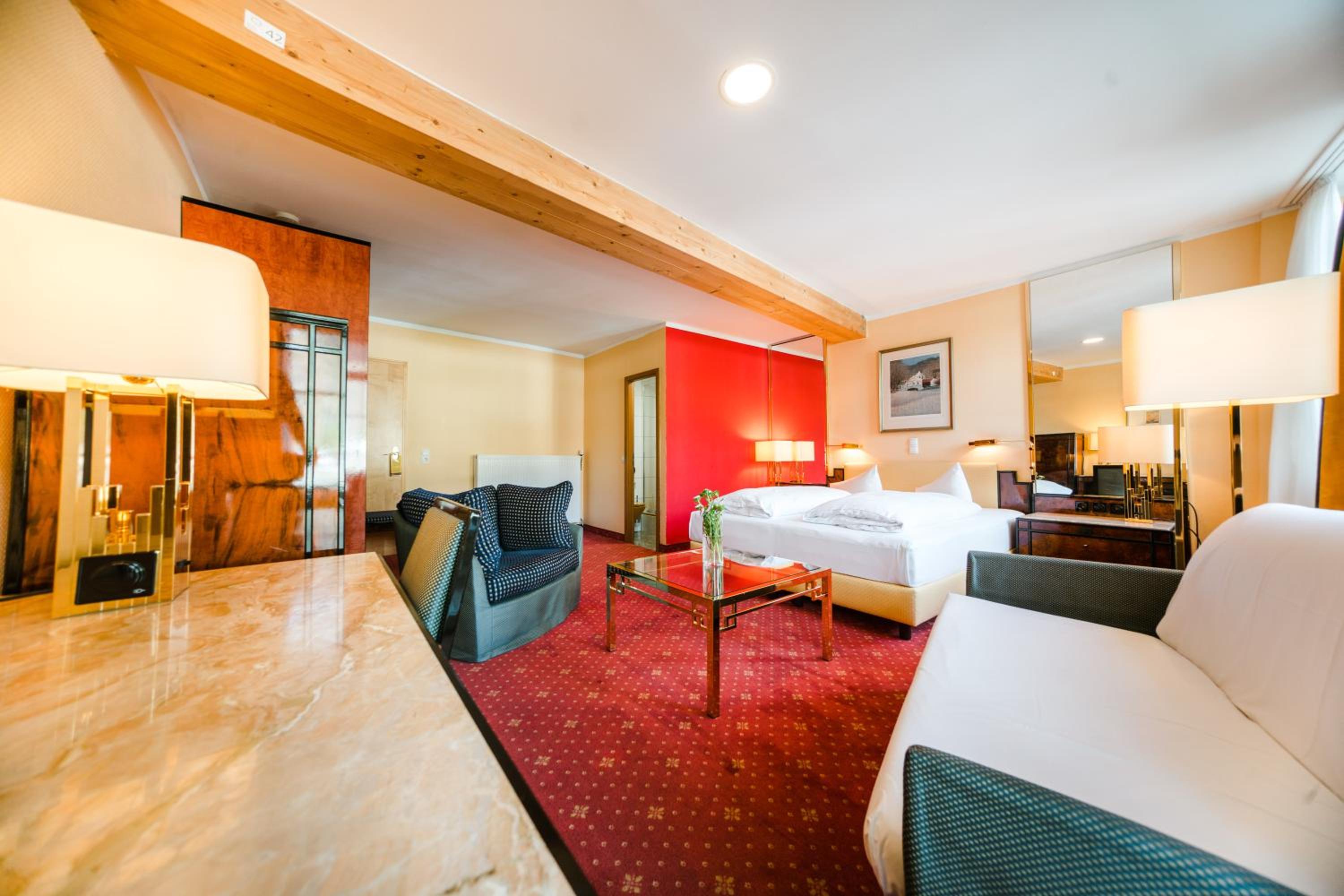 Double Room with Rhine view and balcony - Photo 1