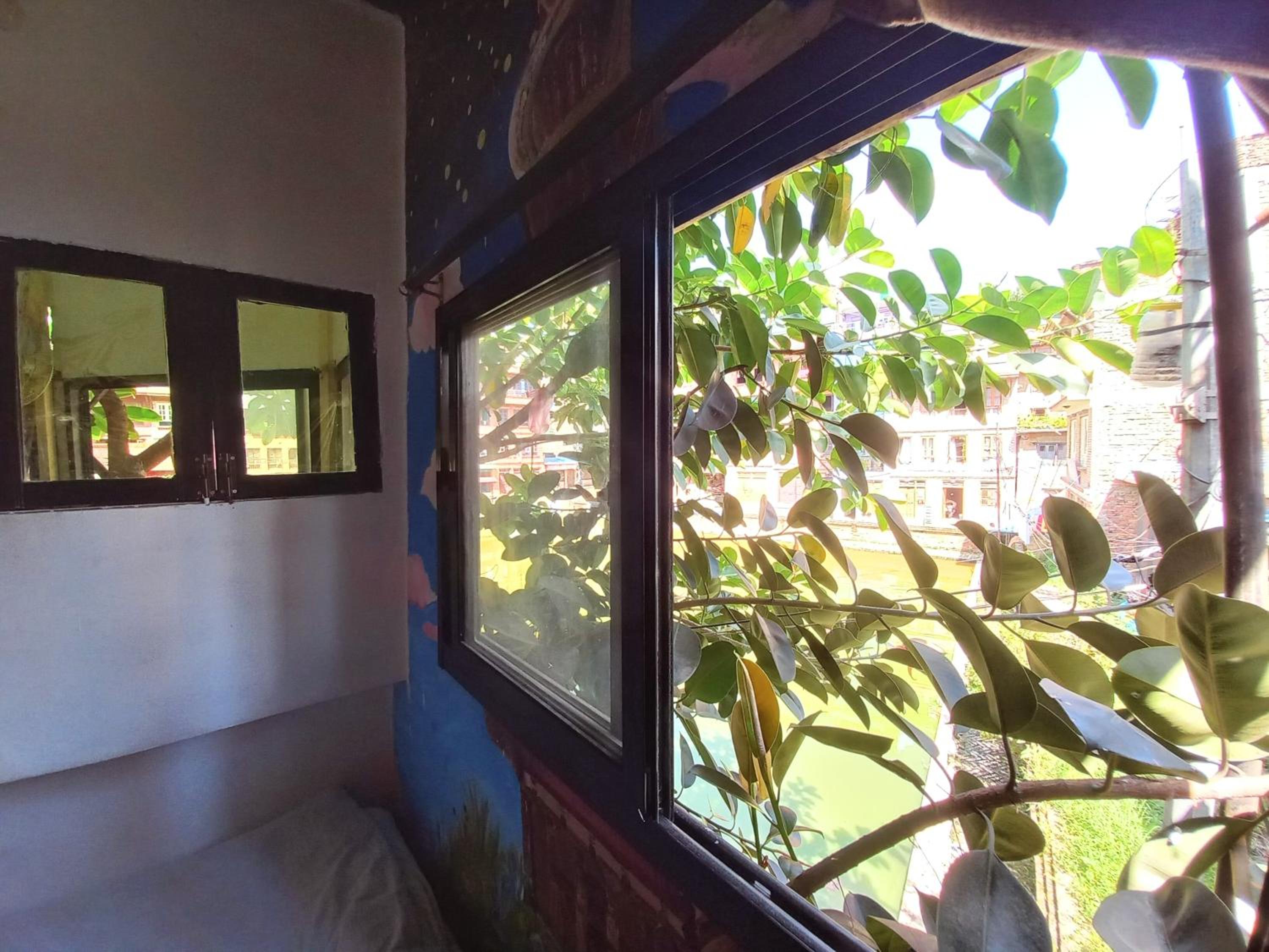 Double Room with Garden View photo 2