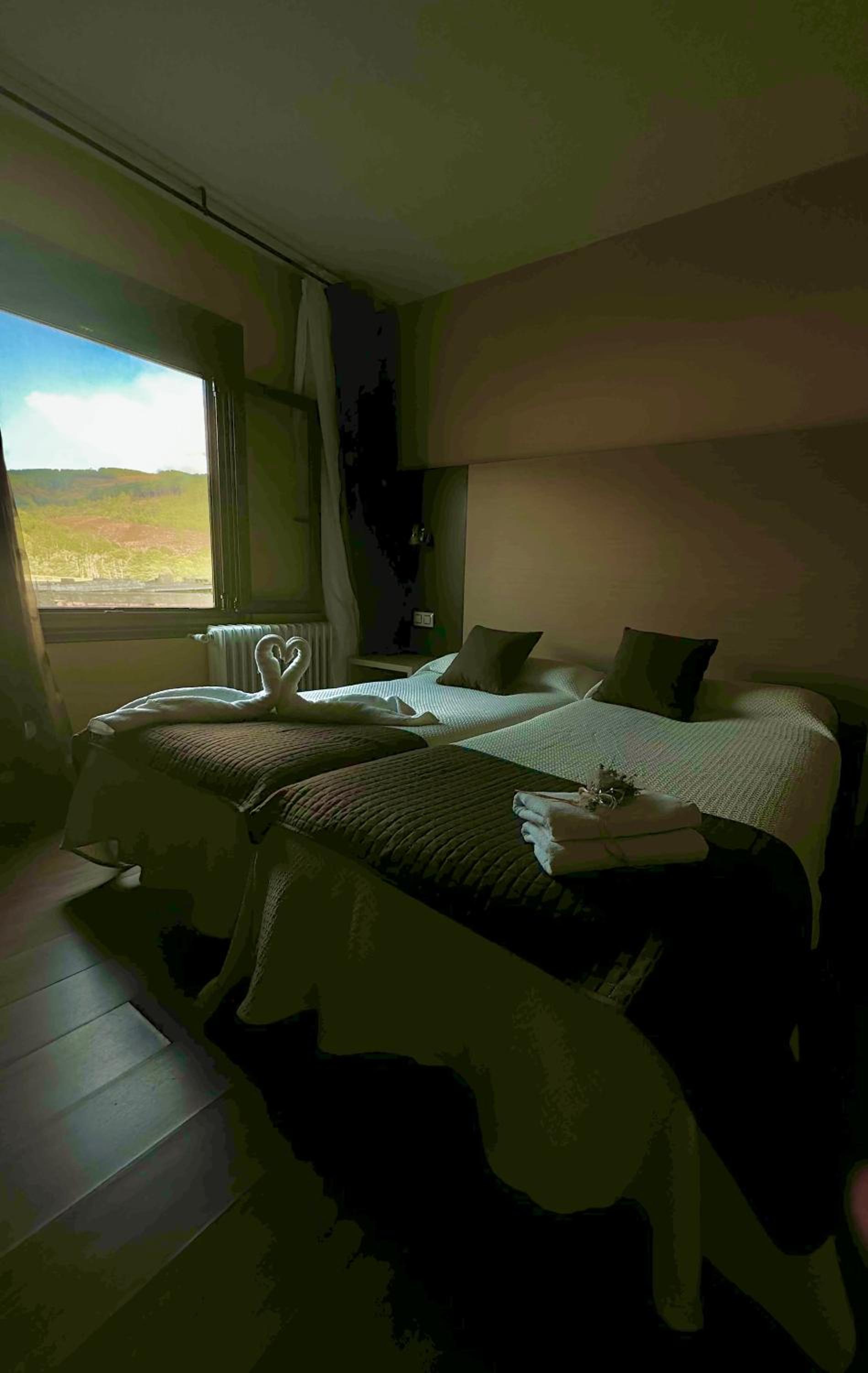 Twin Room photo 3