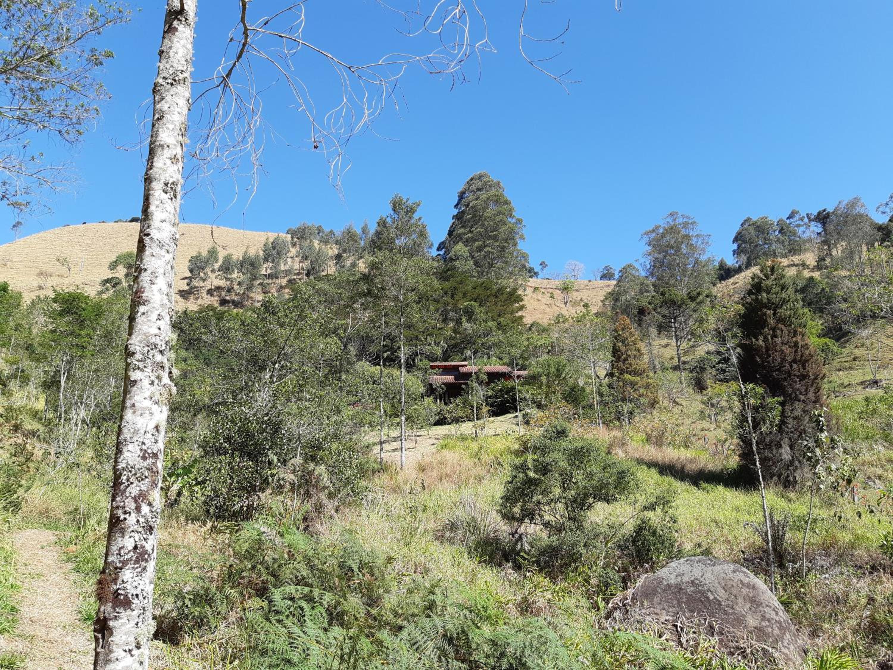 Vacation Home photo 2