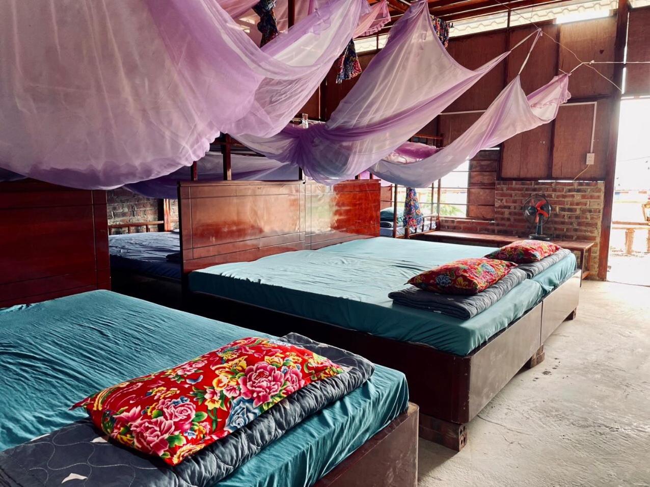 Single Bed in Mixed Dormitory Room photo 1