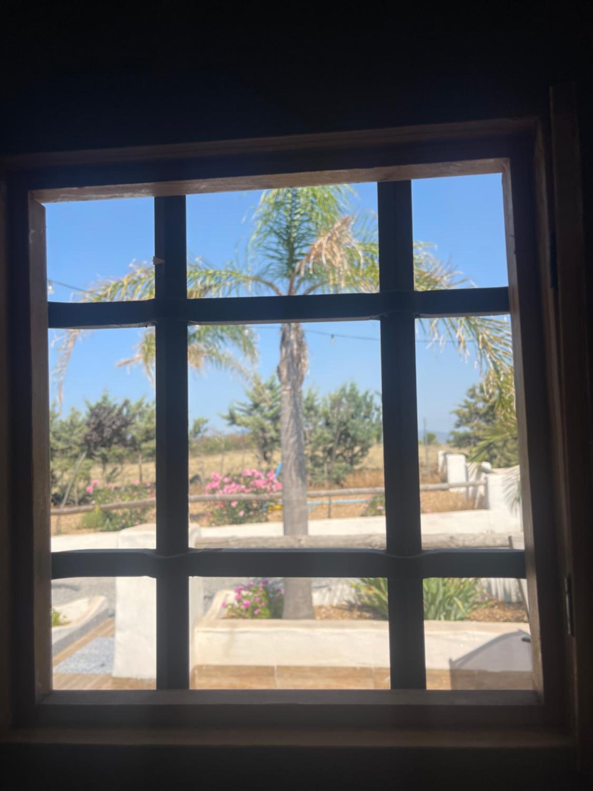 Deluxe Studio photo 3