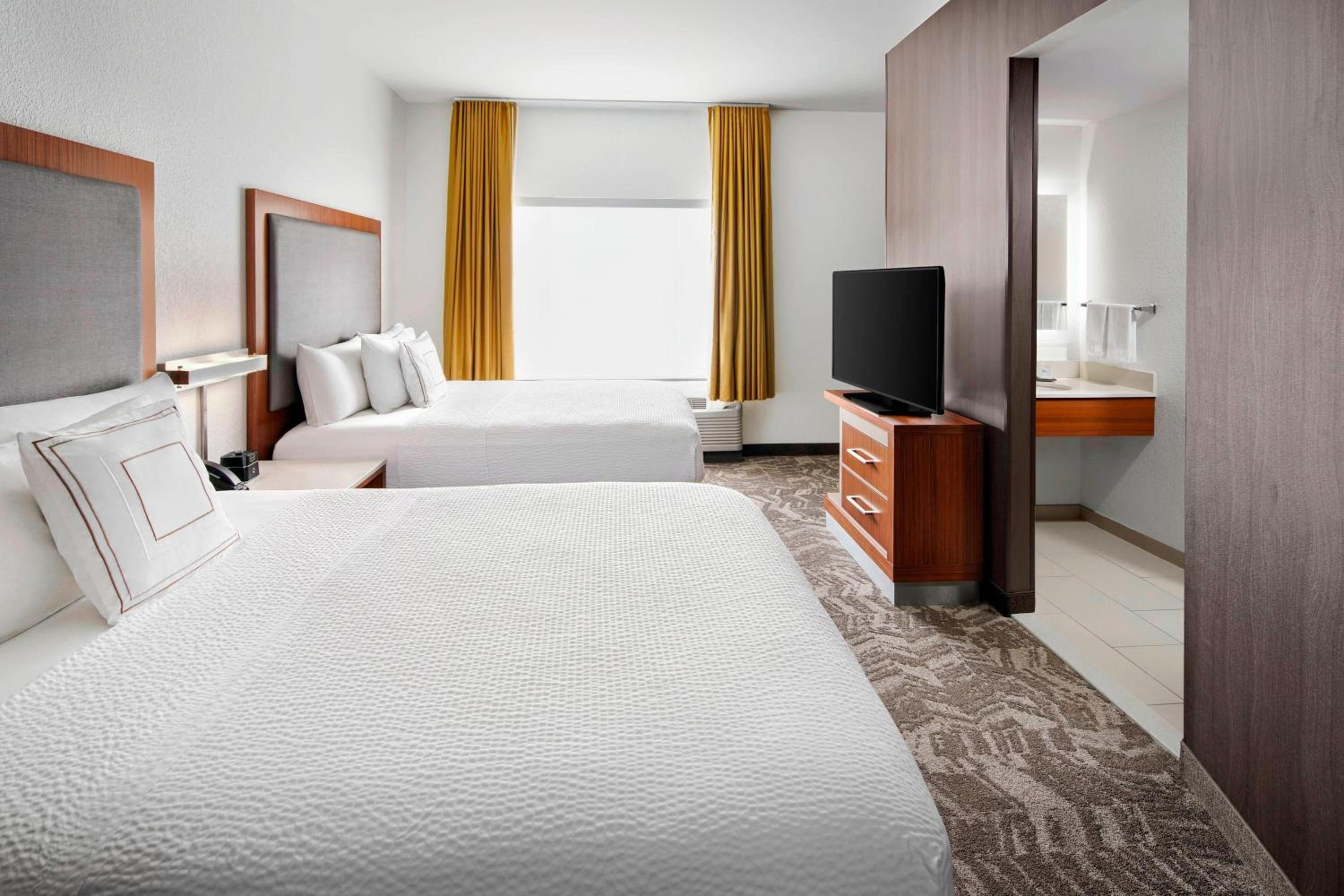 Queen Studio with Sofa Bed and Roll-in Shower - Mobility and Hearing Accessible