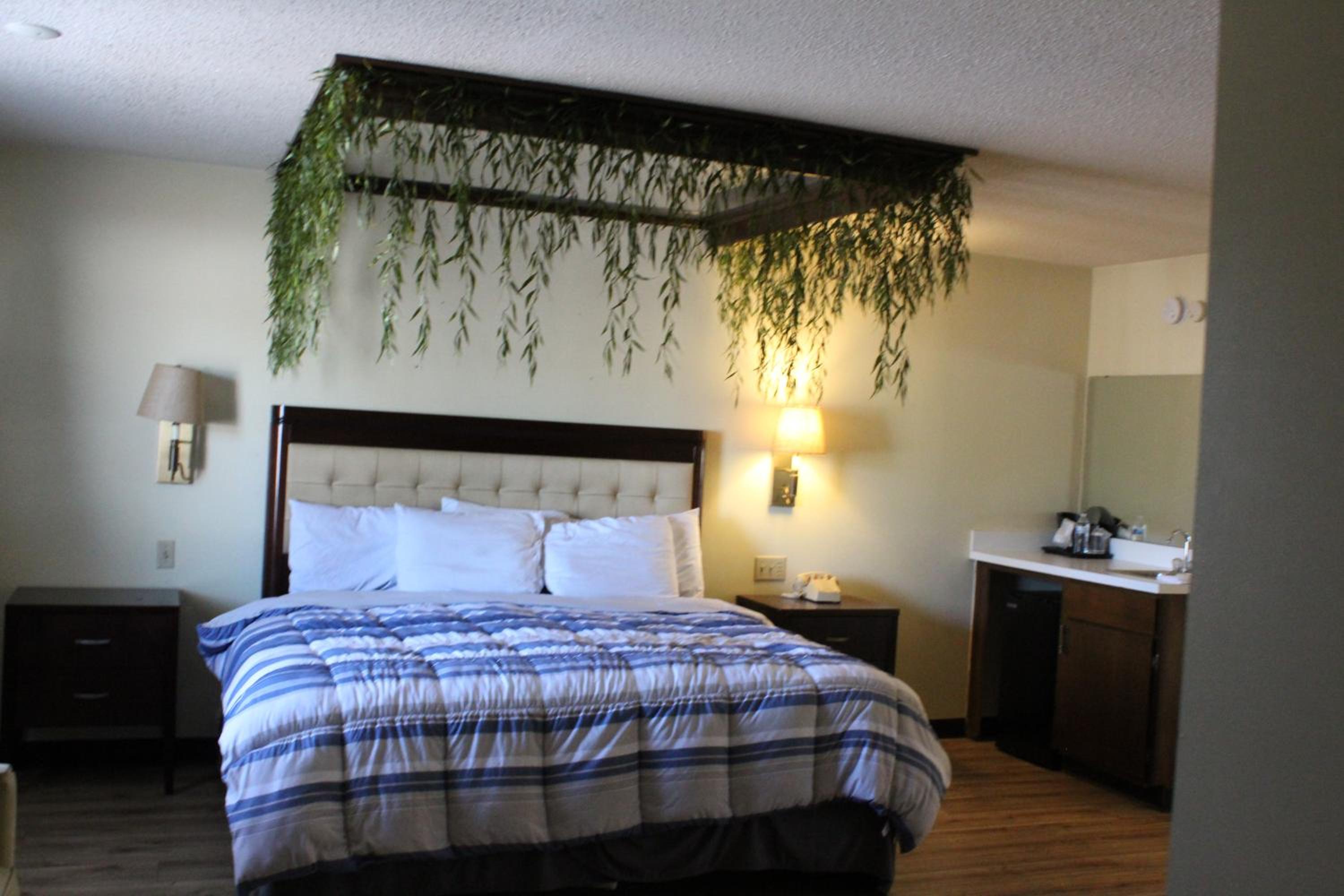 King Room - Non-Smoking - Photo 10