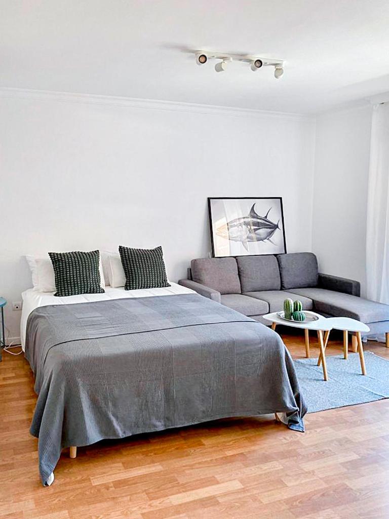 Apartamento de una habitación