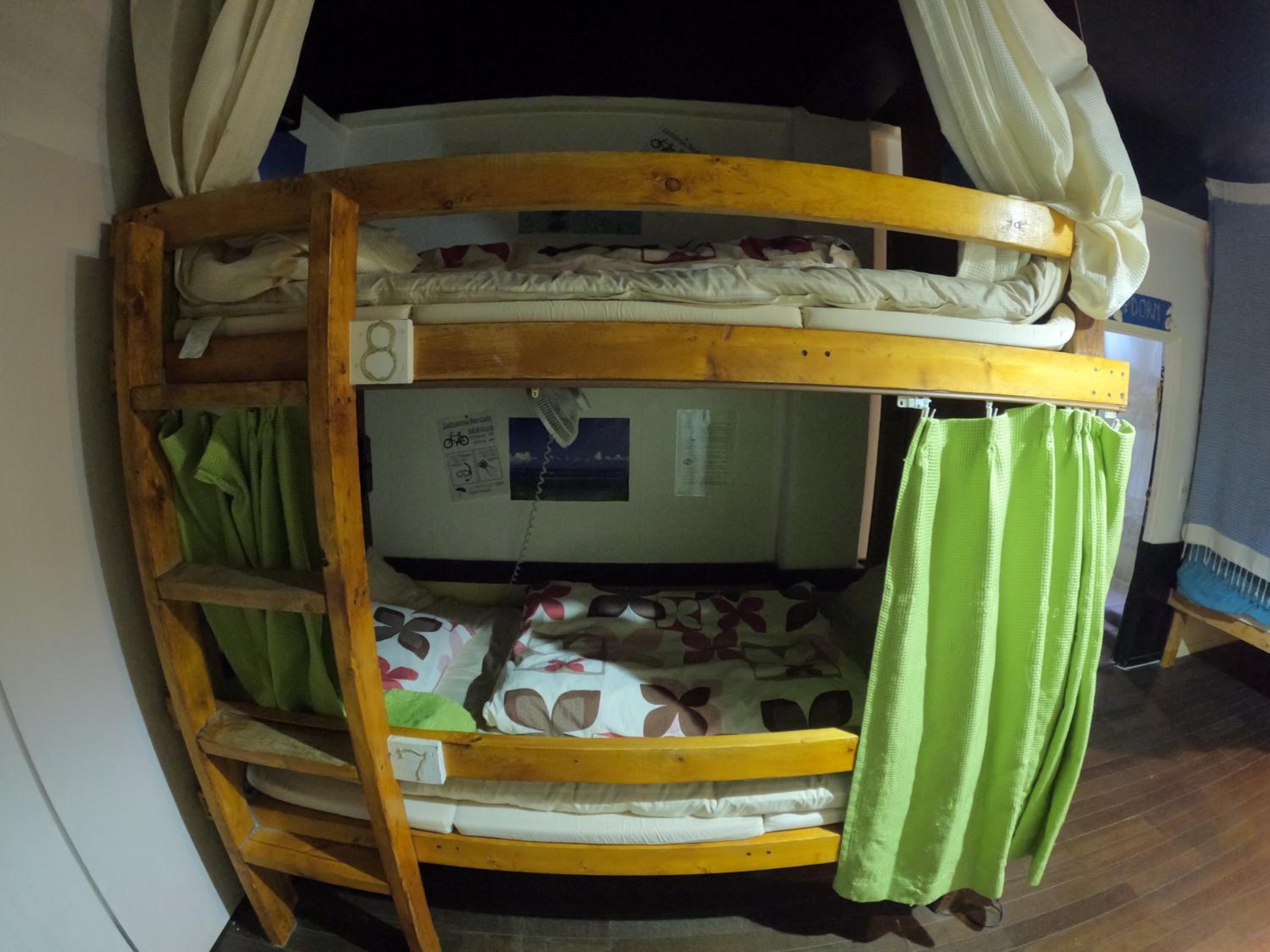 Single Bed in Mixed Dormitory Room photo 2