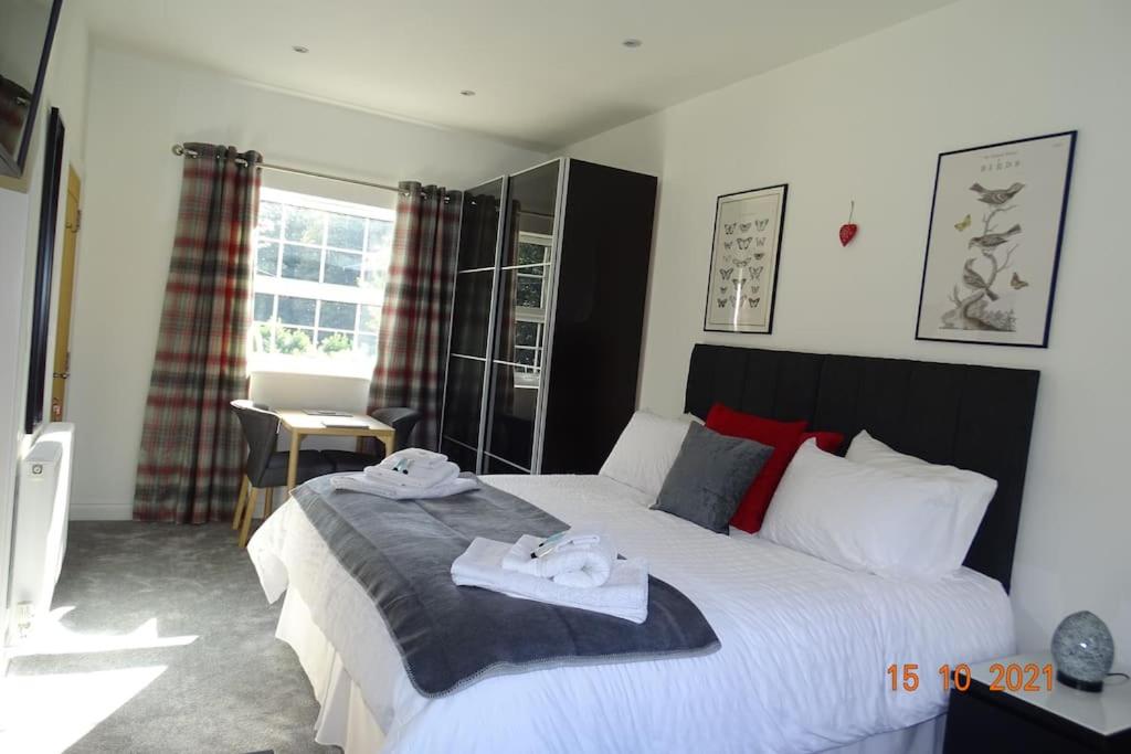 Deluxe King Room photo 3