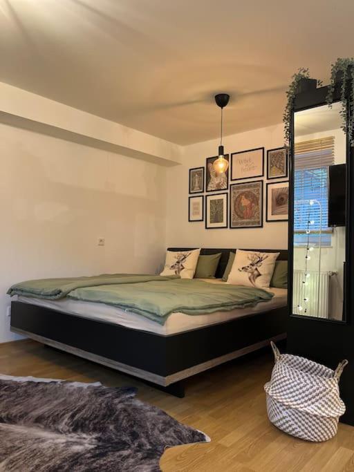 One-Bedroom Apartment photo 2