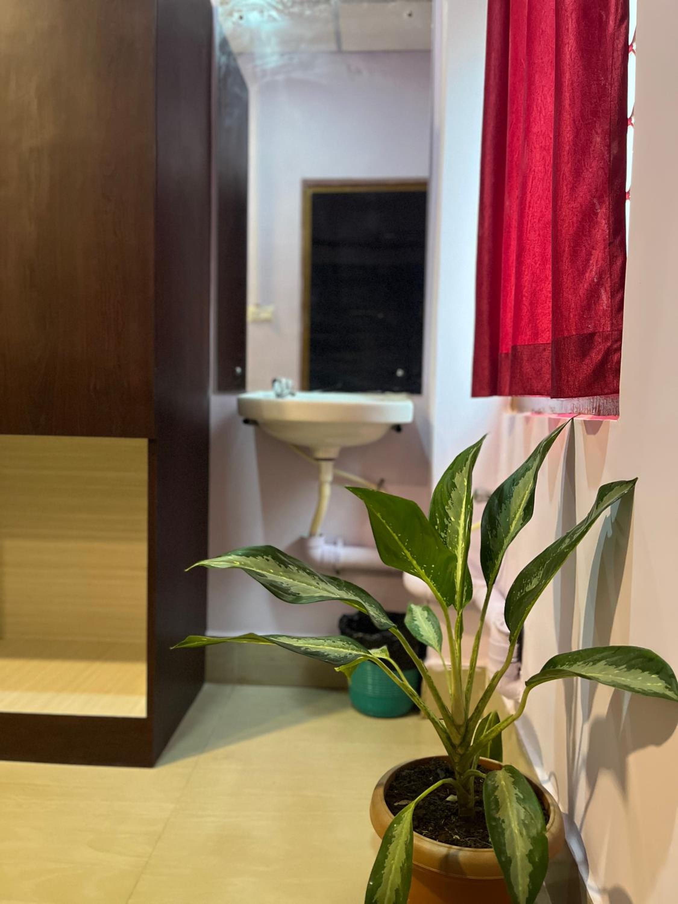 Deluxe Room - Photo 6