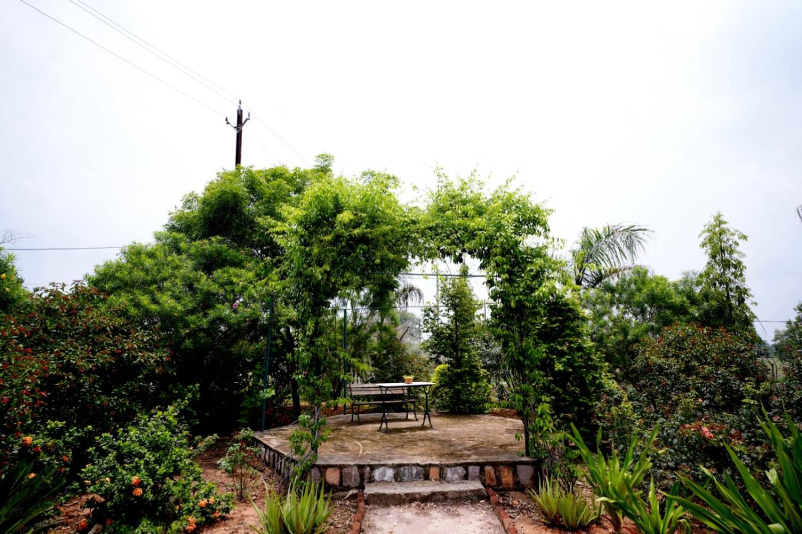 King Room with Garden View - Photo 6