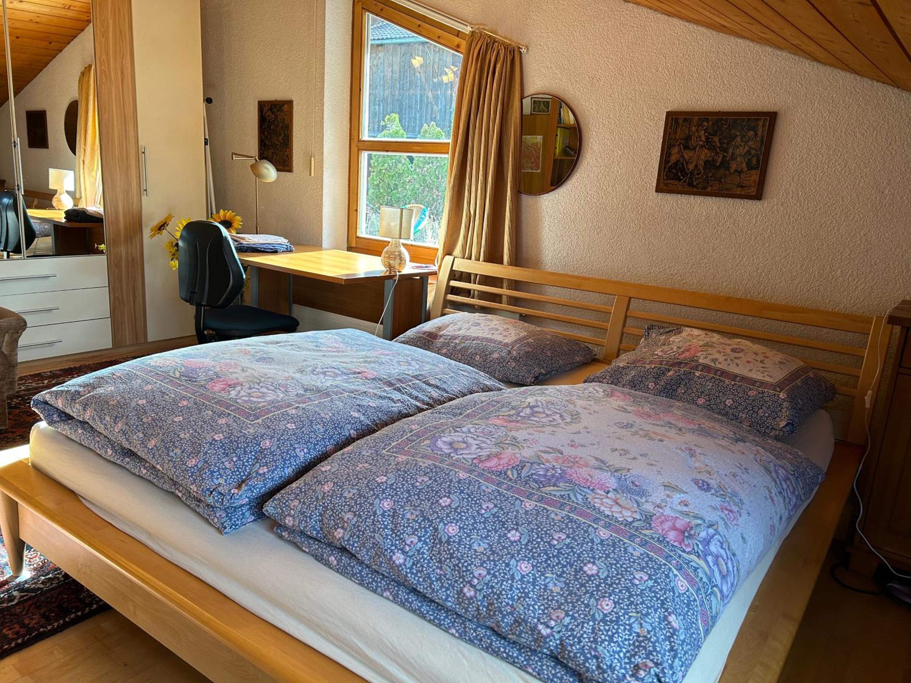 Double Room With Mountain View photo 3