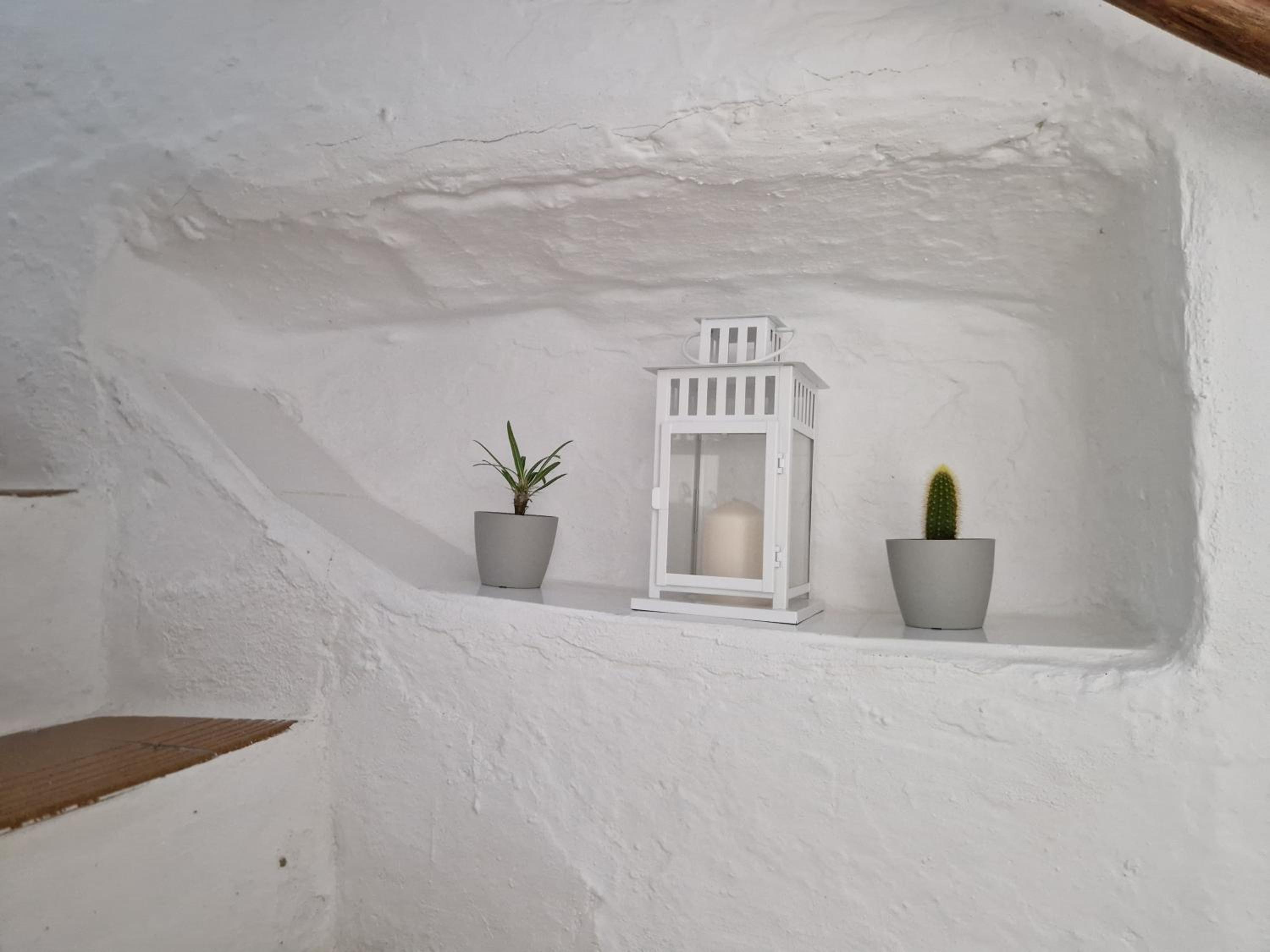 One-Bedroom House photo 3