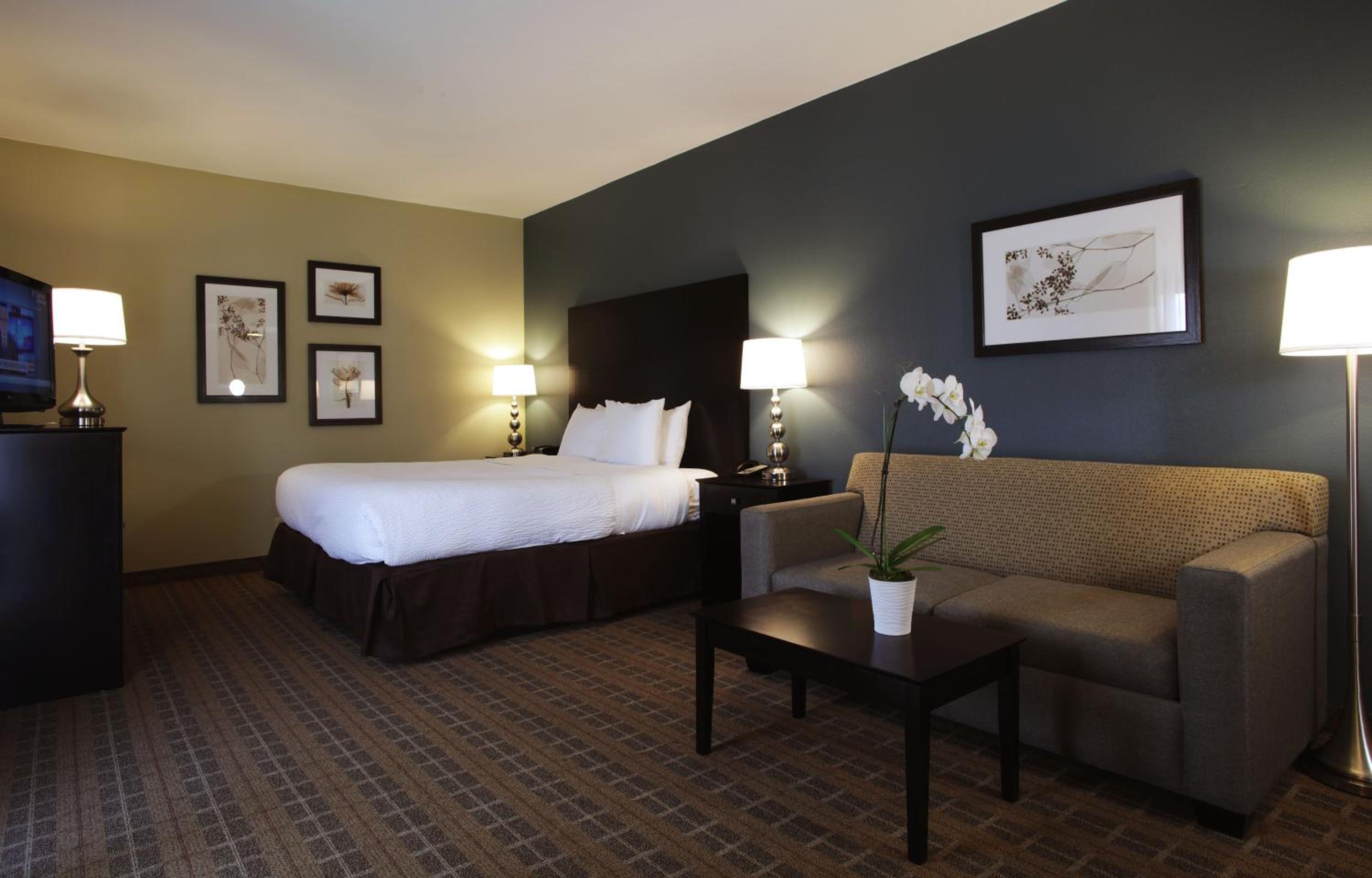 Executive King Room With Sofa Bed photo 1