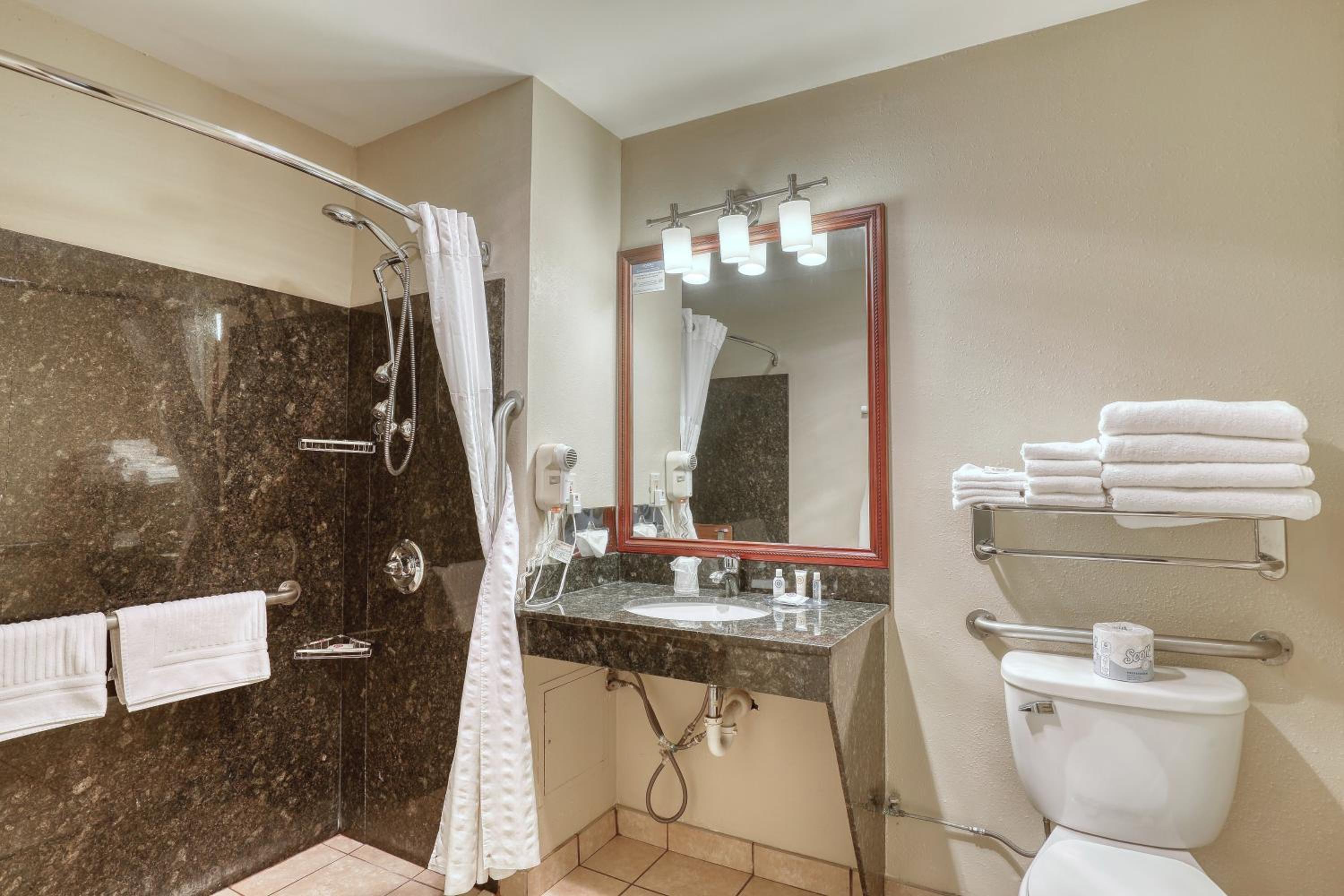 Double Suite with Roll-In Shower - Accessible/Non-Smoking - Photo 4