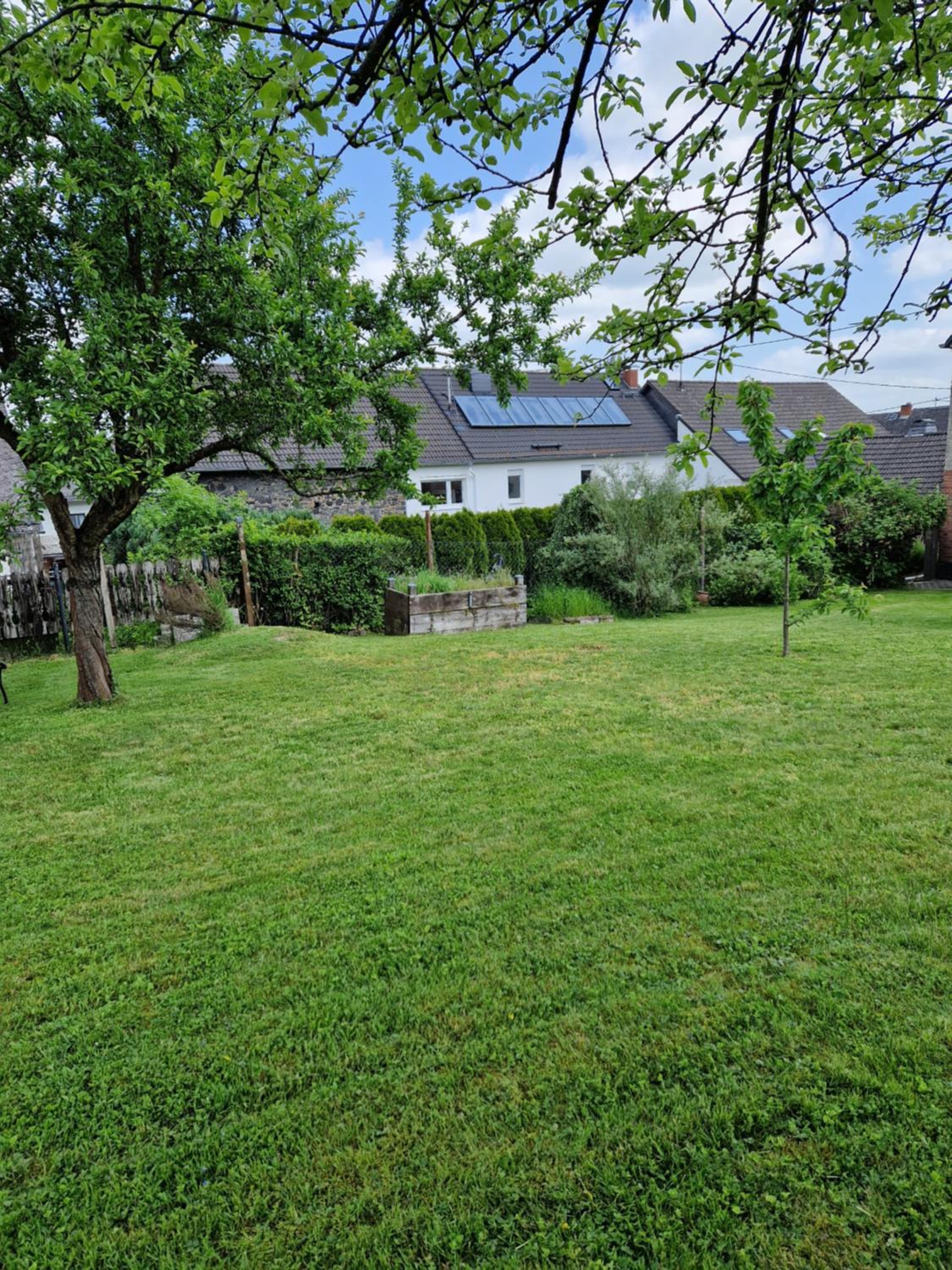 Studio with Garden View photo 2