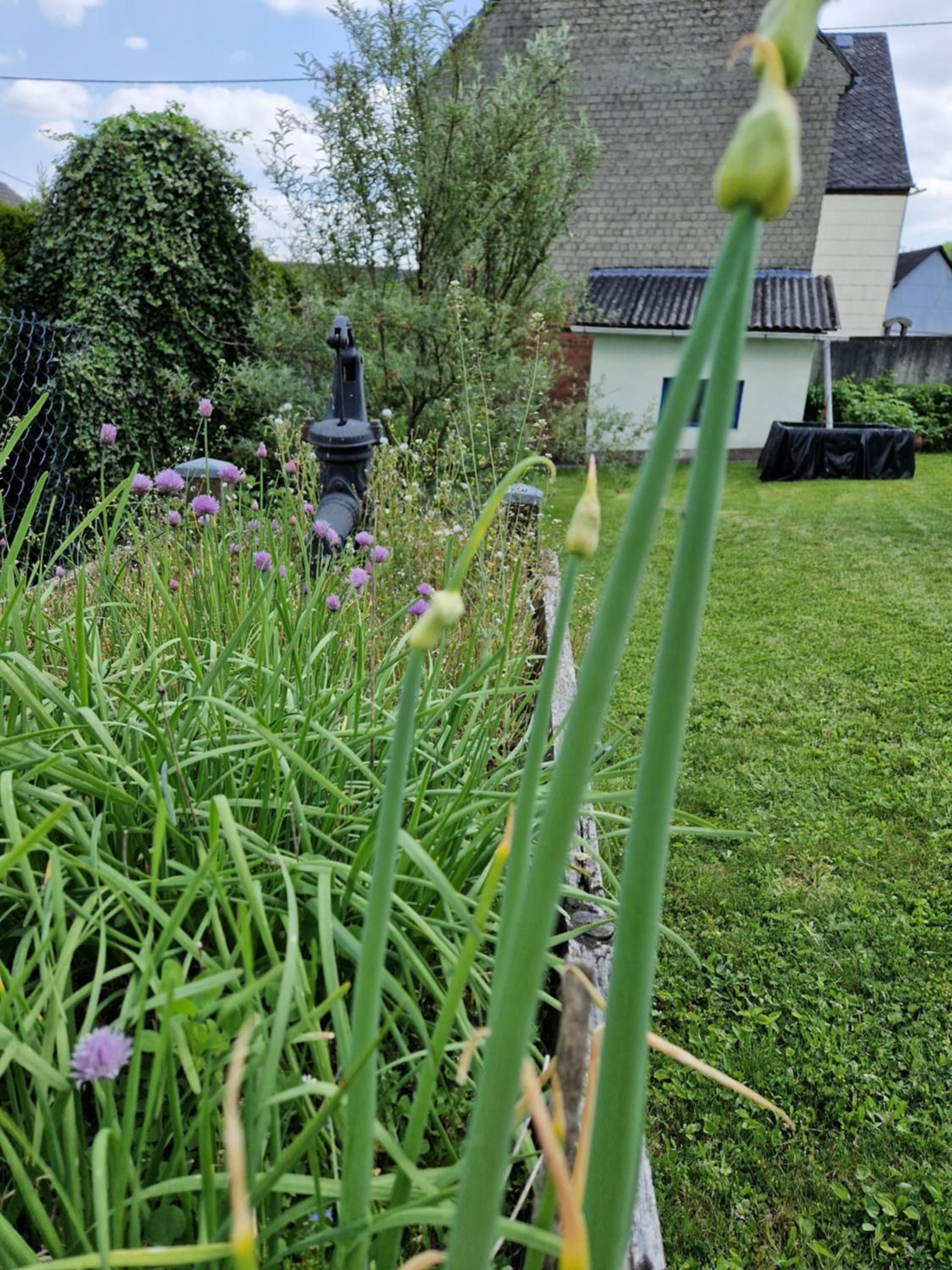 Studio with Garden View photo 3