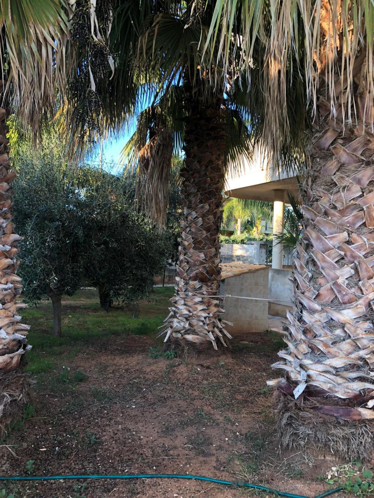 Vacation Home photo 2